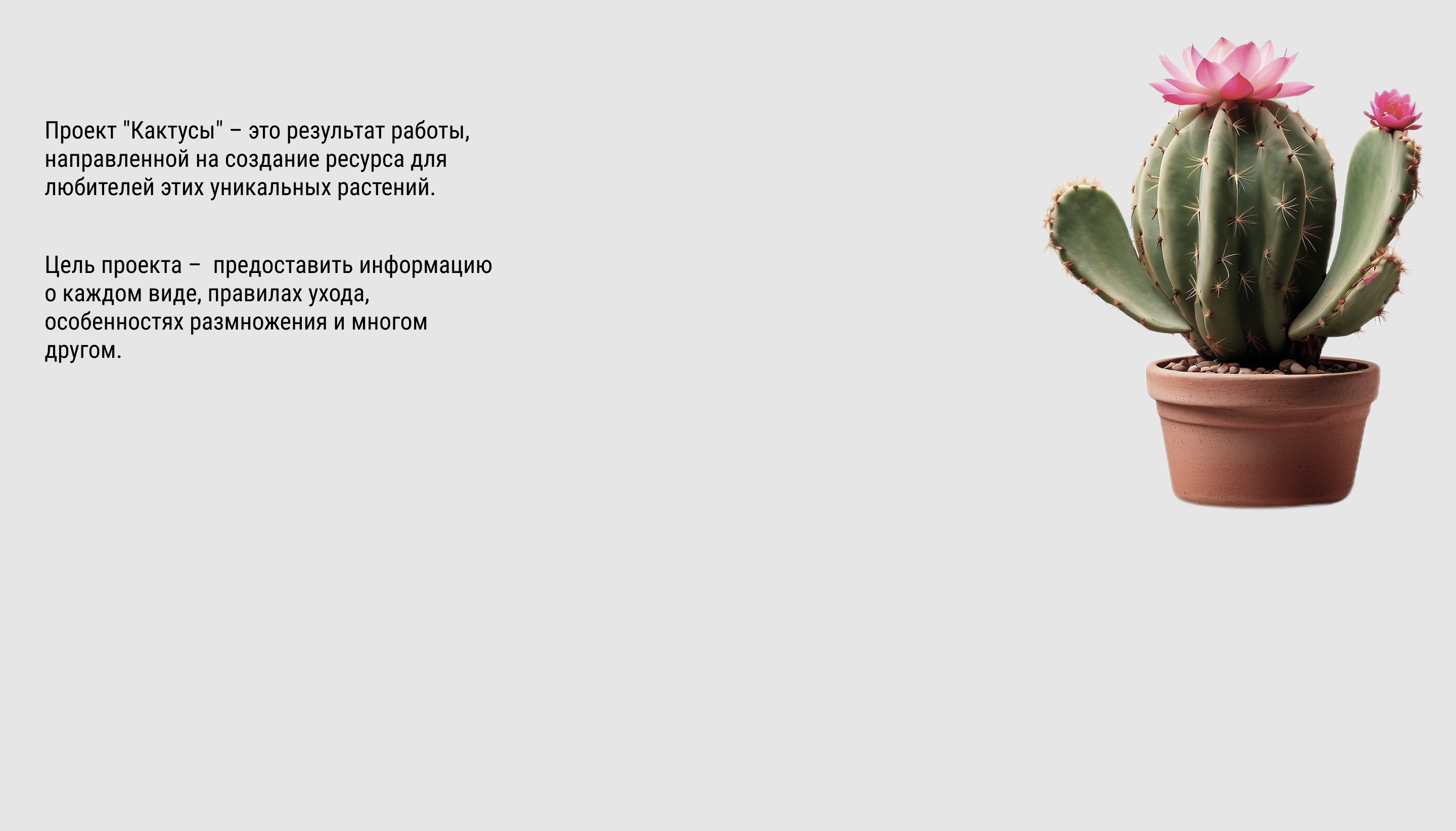 Кактусы — Изображение №2 — Интерфейсы, Графика на Dprofile