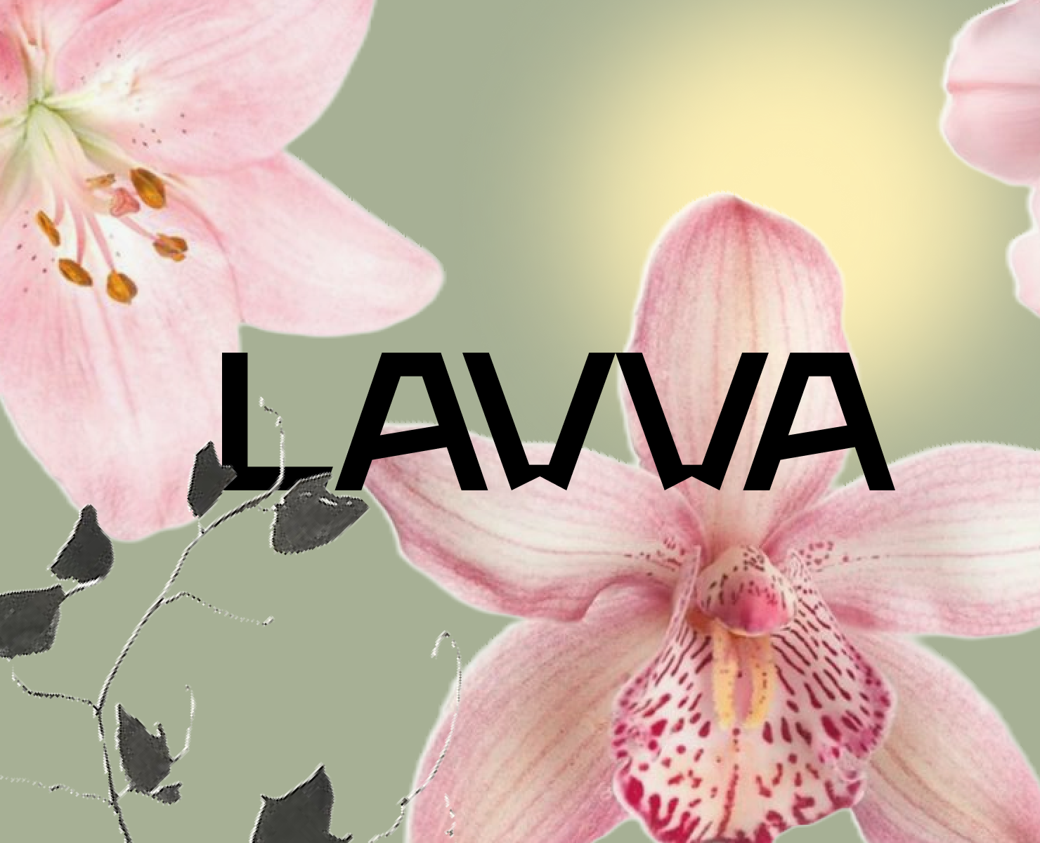 Lavva — Интерфейсы, Брендинг на Dprofile