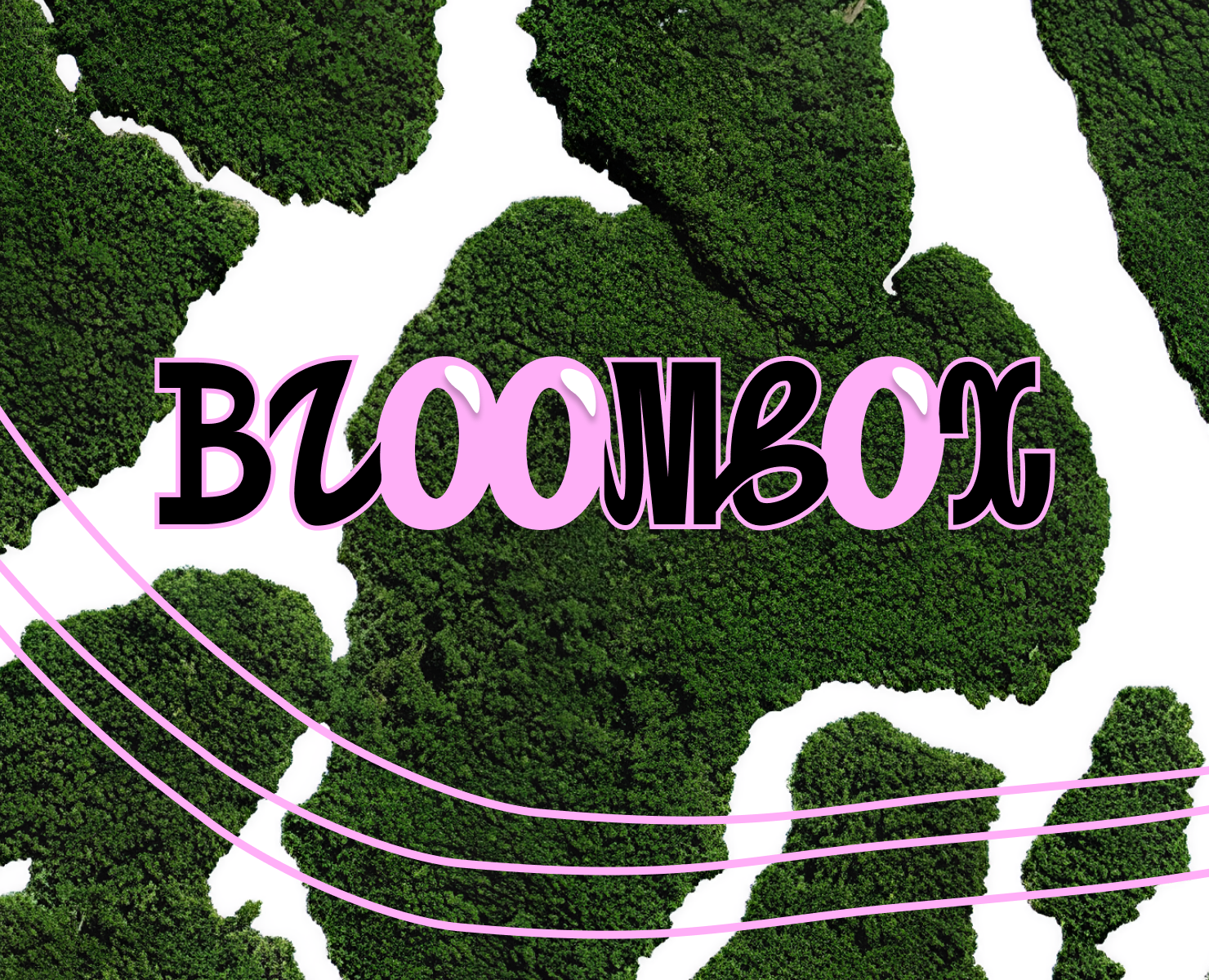 bloombox — Интерфейсы, Брендинг на Dprofile