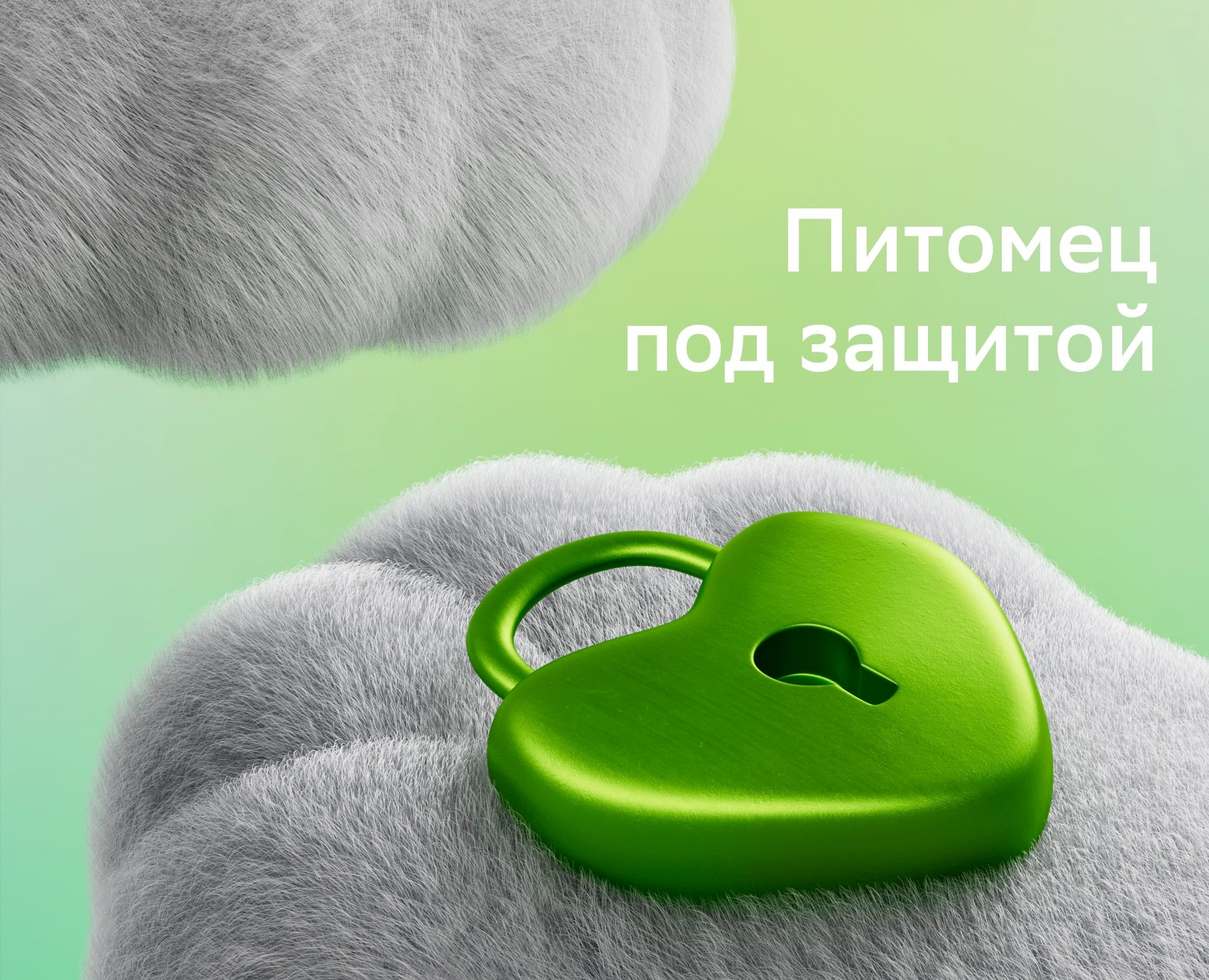 Sber insurance — 3D на Dprofile