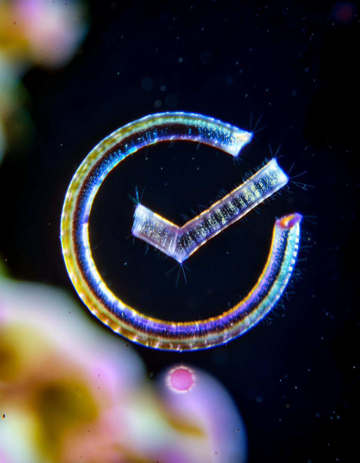 AI logo animation Sber — Изображение №33 — Брендинг, Иллюстрация на Dprofile