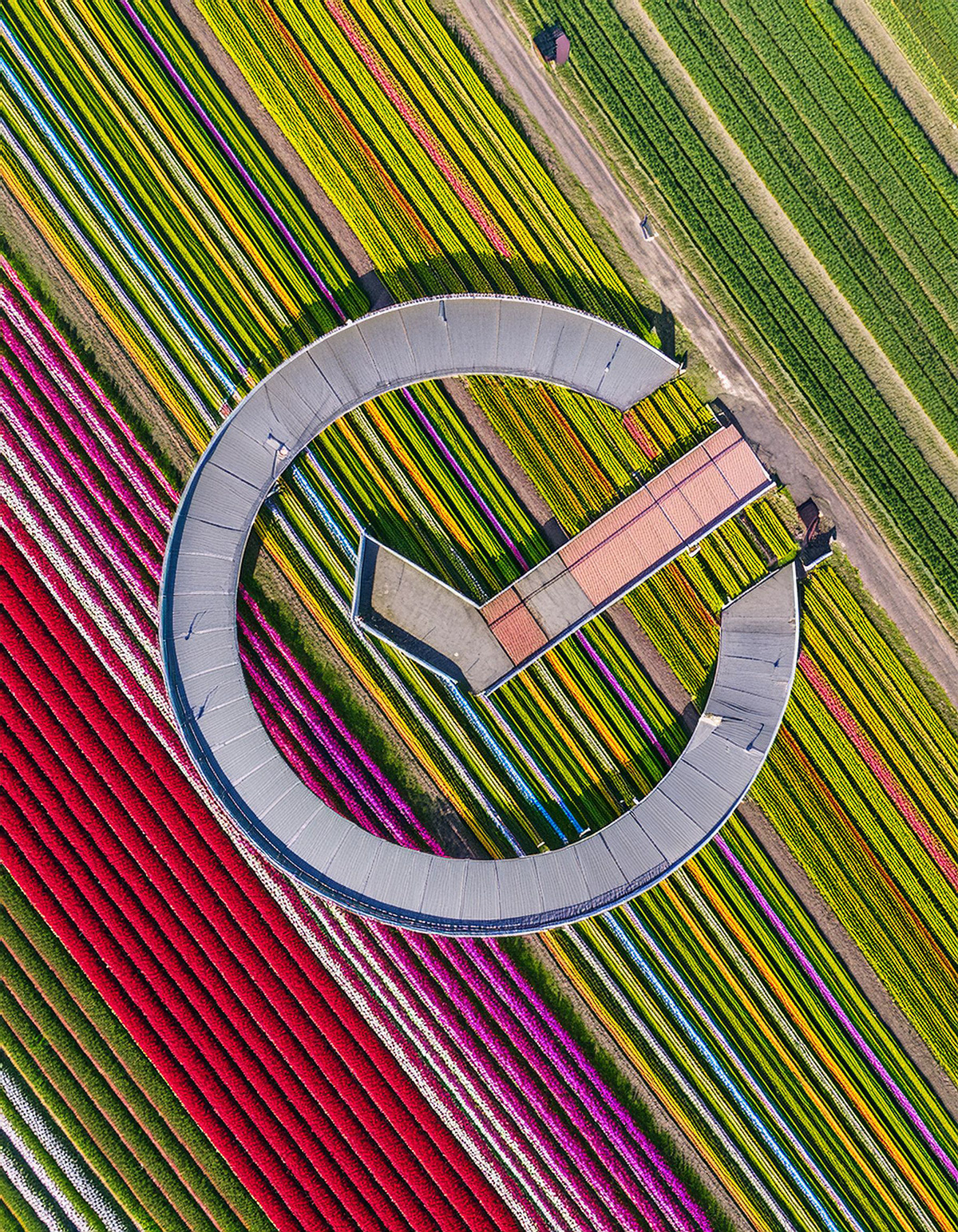 AI logo animation Sber — Изображение №28 — Брендинг, Иллюстрация на Dprofile