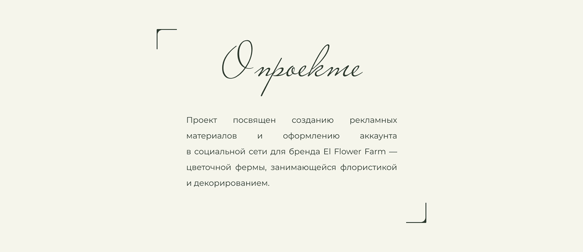 Цветочная эстетика: Social Media для El Flower Farm — Изображение №2 — Брендинг, Маркетинг на Dprofile