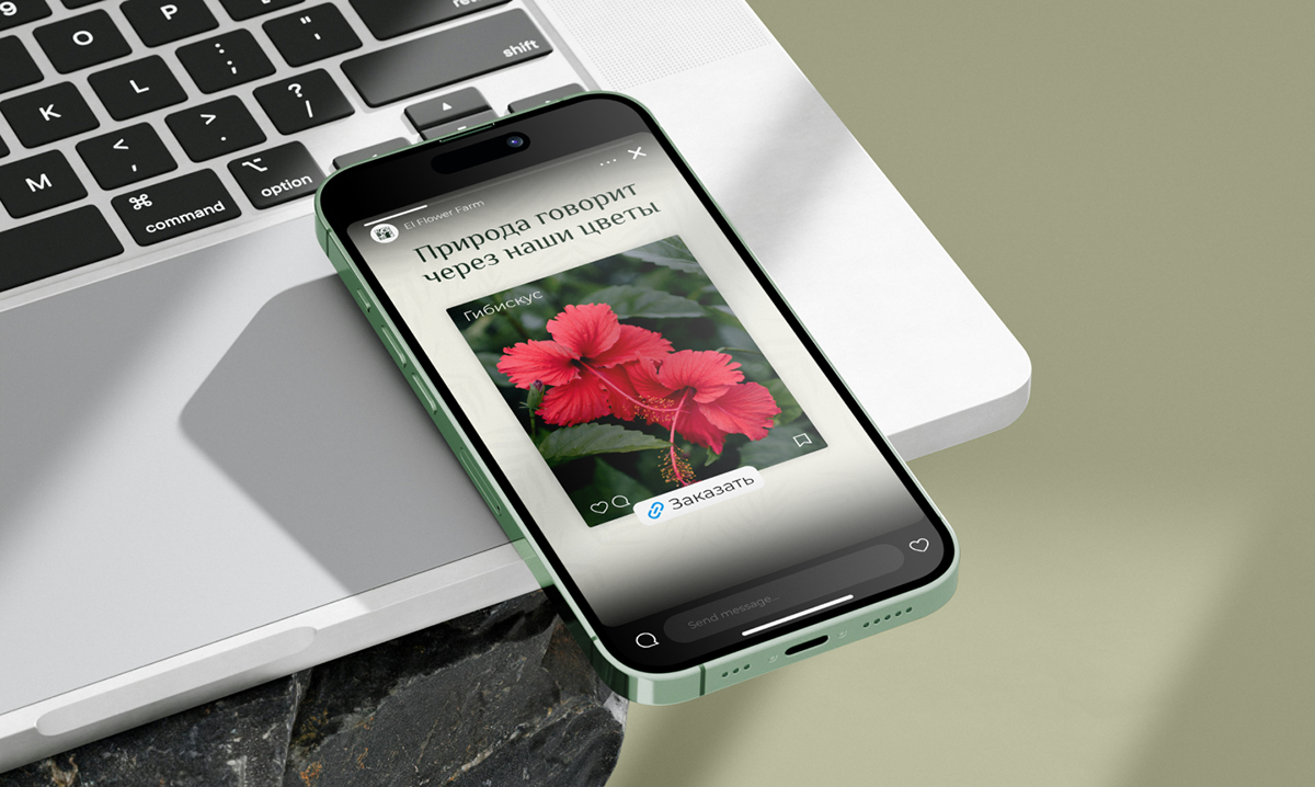 Цветочная эстетика: Social Media для El Flower Farm — Изображение №4 — Брендинг, Маркетинг на Dprofile