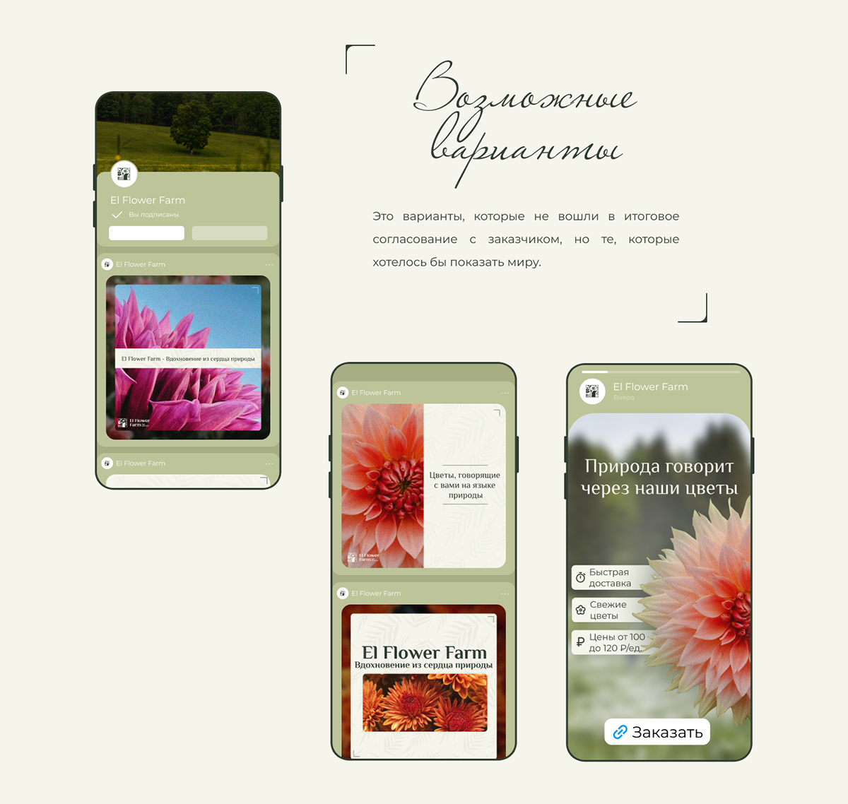 Цветочная эстетика: Social Media для El Flower Farm — Изображение №5 — Брендинг, Маркетинг на Dprofile