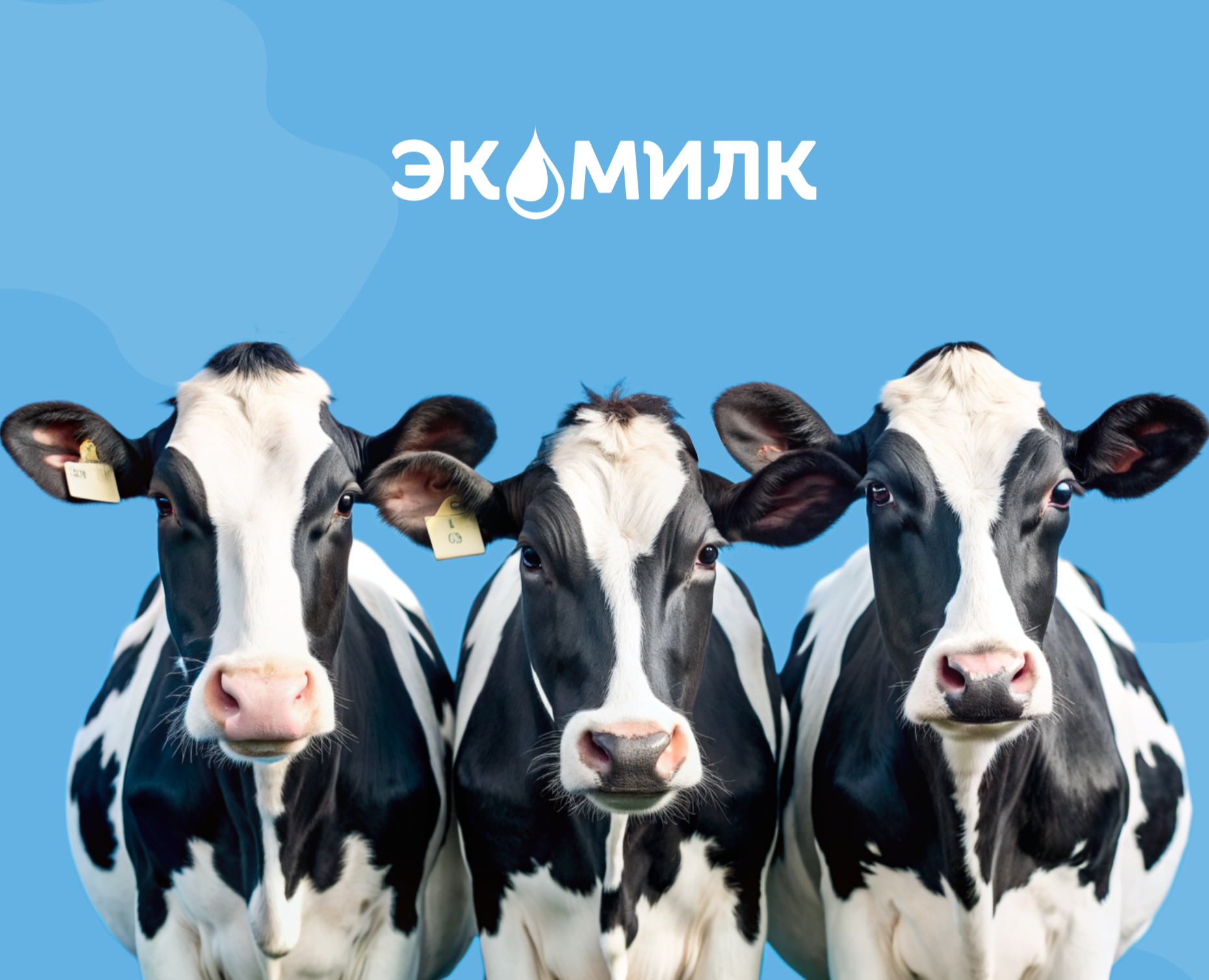 Сайт для производителя молочной продукции "Экомилк" на Dprofile