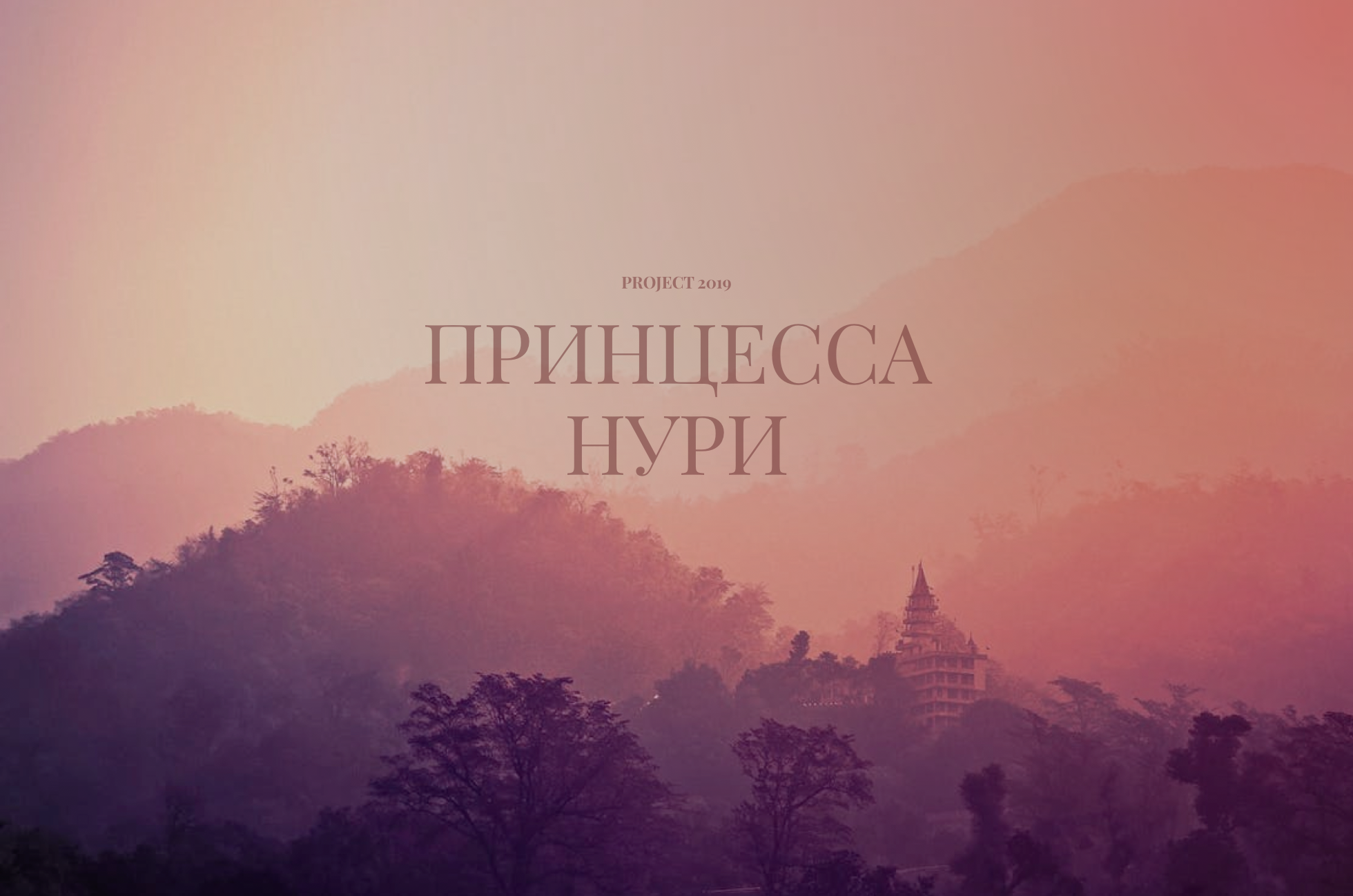 [2020] Принцесса НУРИ — Изображение №1 — Интерфейсы, Графика на Dprofile