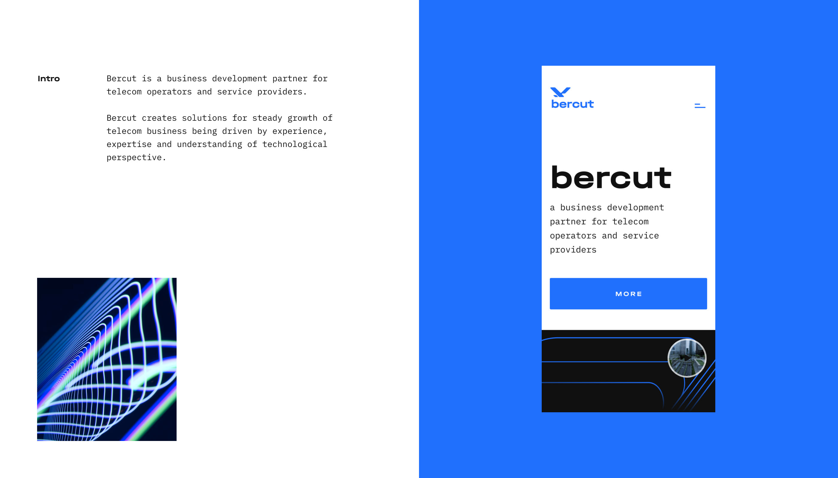 Bercut corporate website — Изображение №1 — Анимация, Интерфейсы на Dprofile