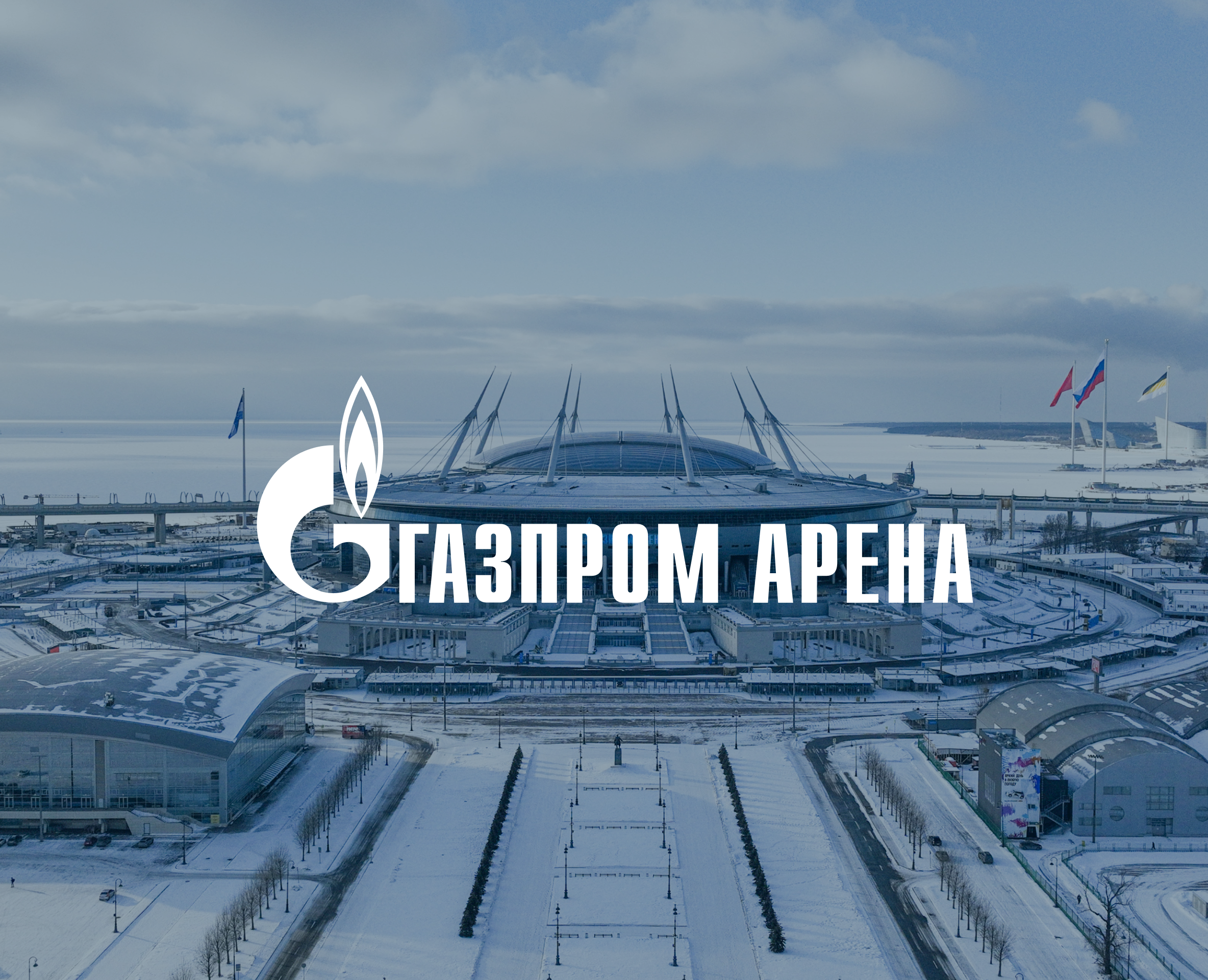 Официальный сайт "Газпром Арена" на Dprofile