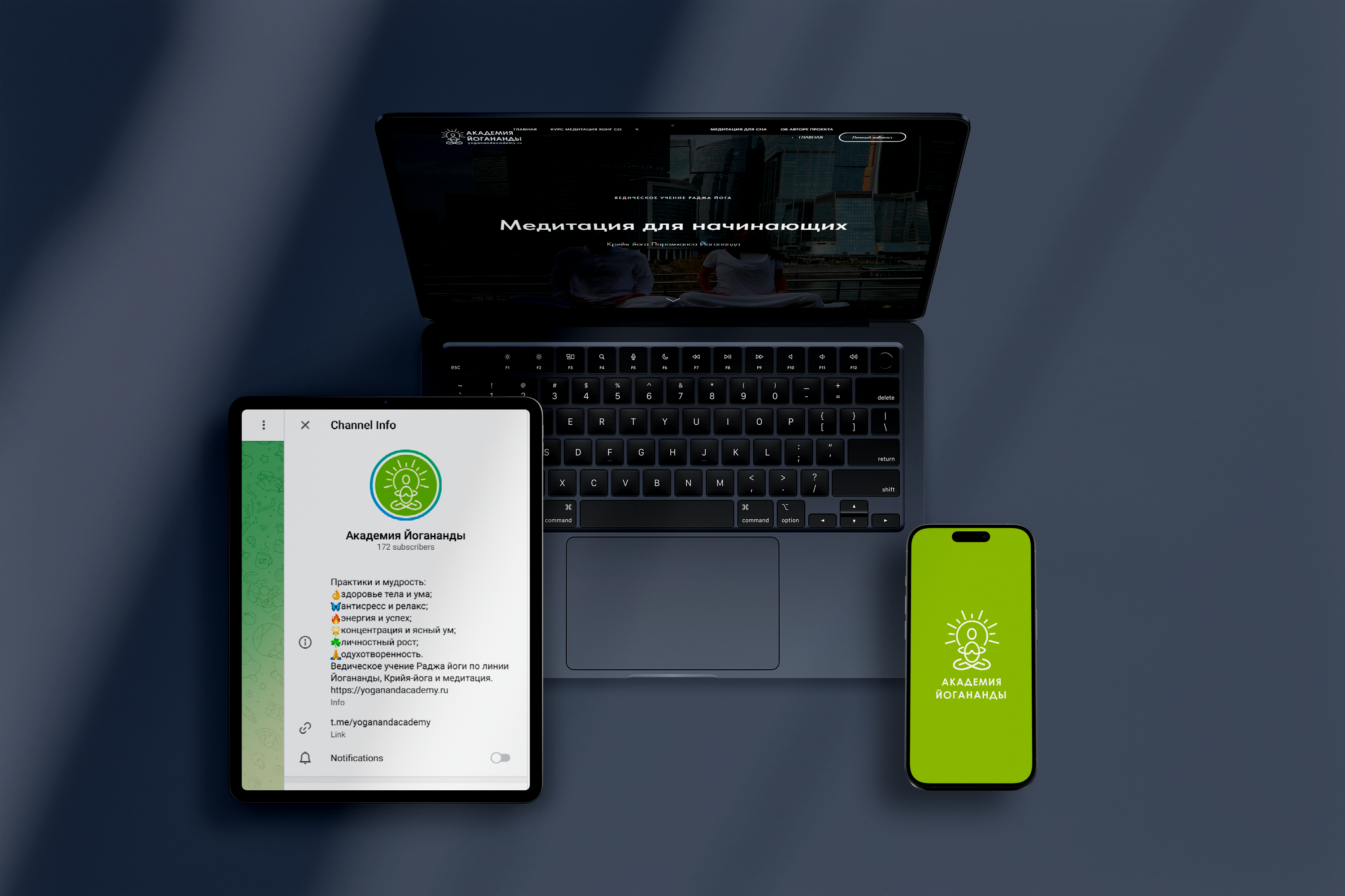 Project for the Yogananda Academy — Изображение №1 — Брендинг на Dprofile
