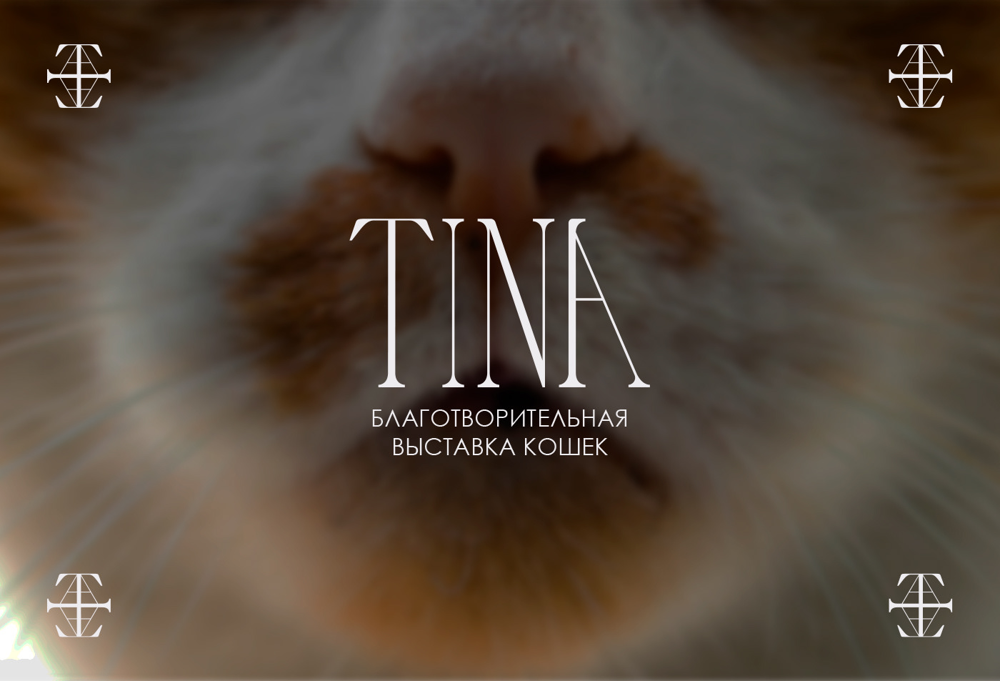 TINA - фирменный стиль для благотворительной выставки. — Изображение №1 — Брендинг на Dprofile
