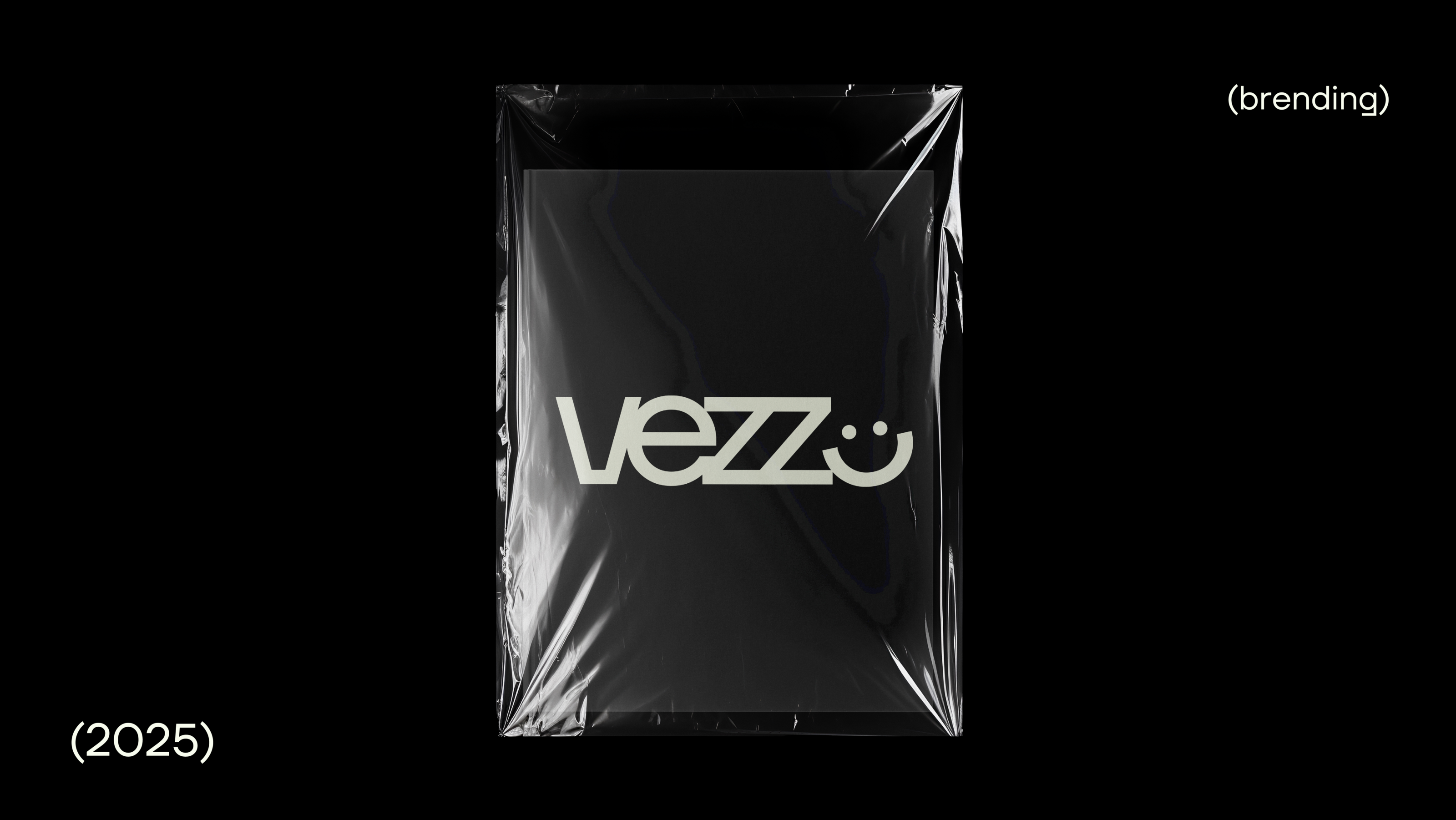 Фирменный стиль бренда одежды vezz — Изображение №2 — Брендинг на Dprofile