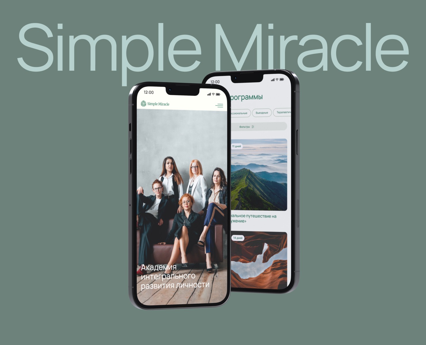 Simple Miracle — Интерфейсы на Dprofile