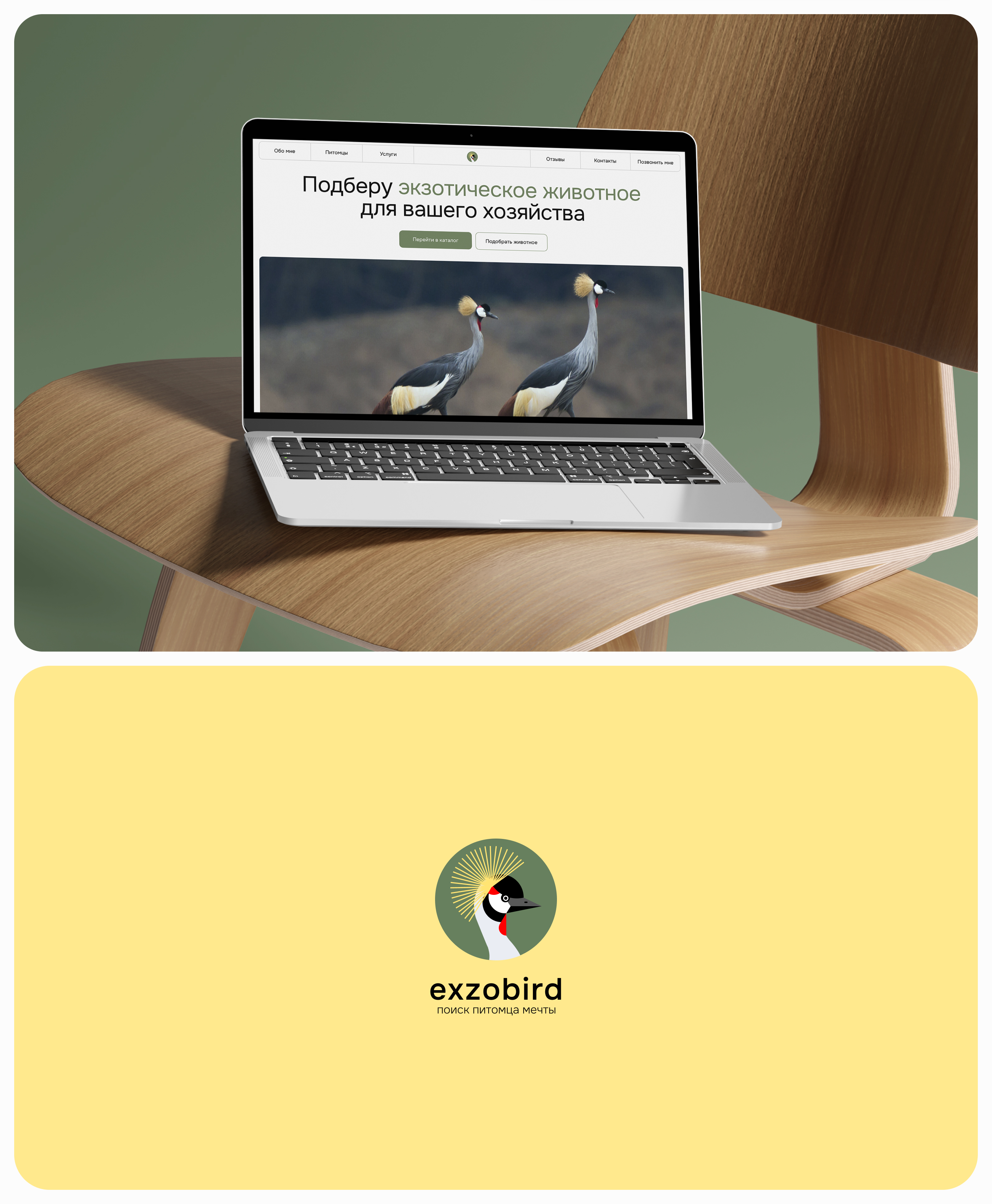 Exzobird | Web & Branding — Изображение №2 — Интерфейсы на Dprofile