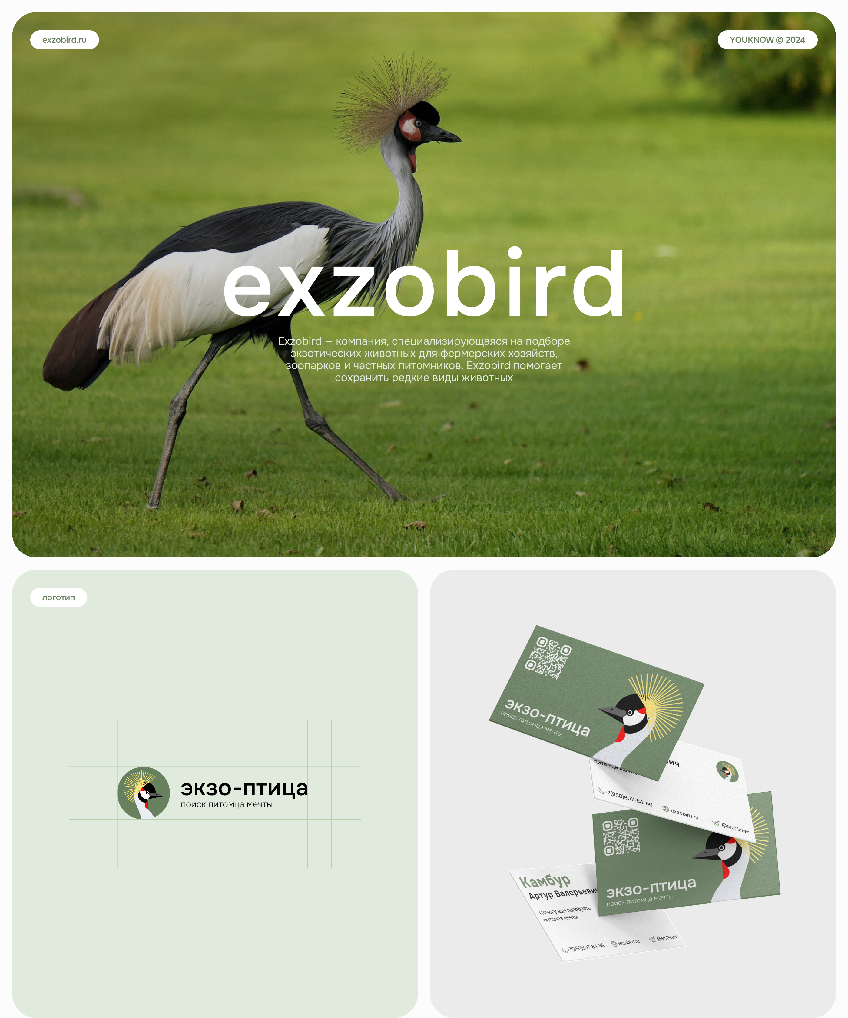 Exzobird | Web & Branding — Изображение №1 — Интерфейсы на Dprofile