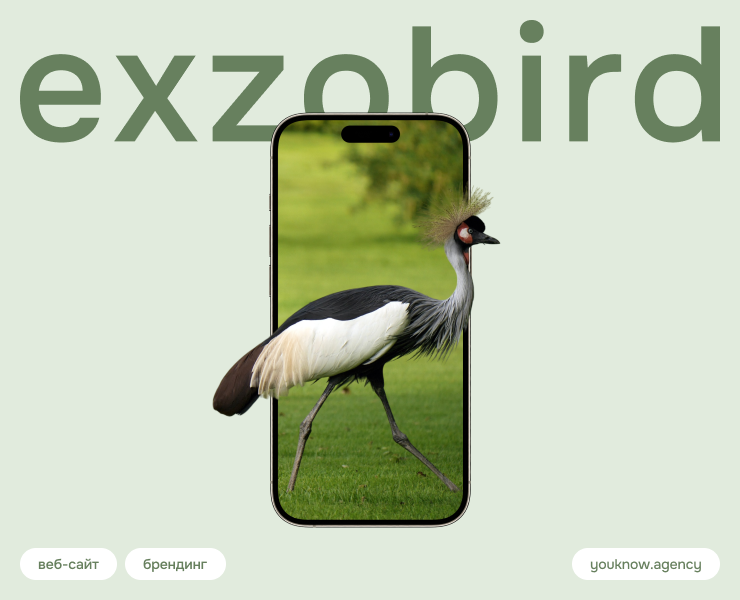 Exzobird | Web & Branding — Интерфейсы на Dprofile