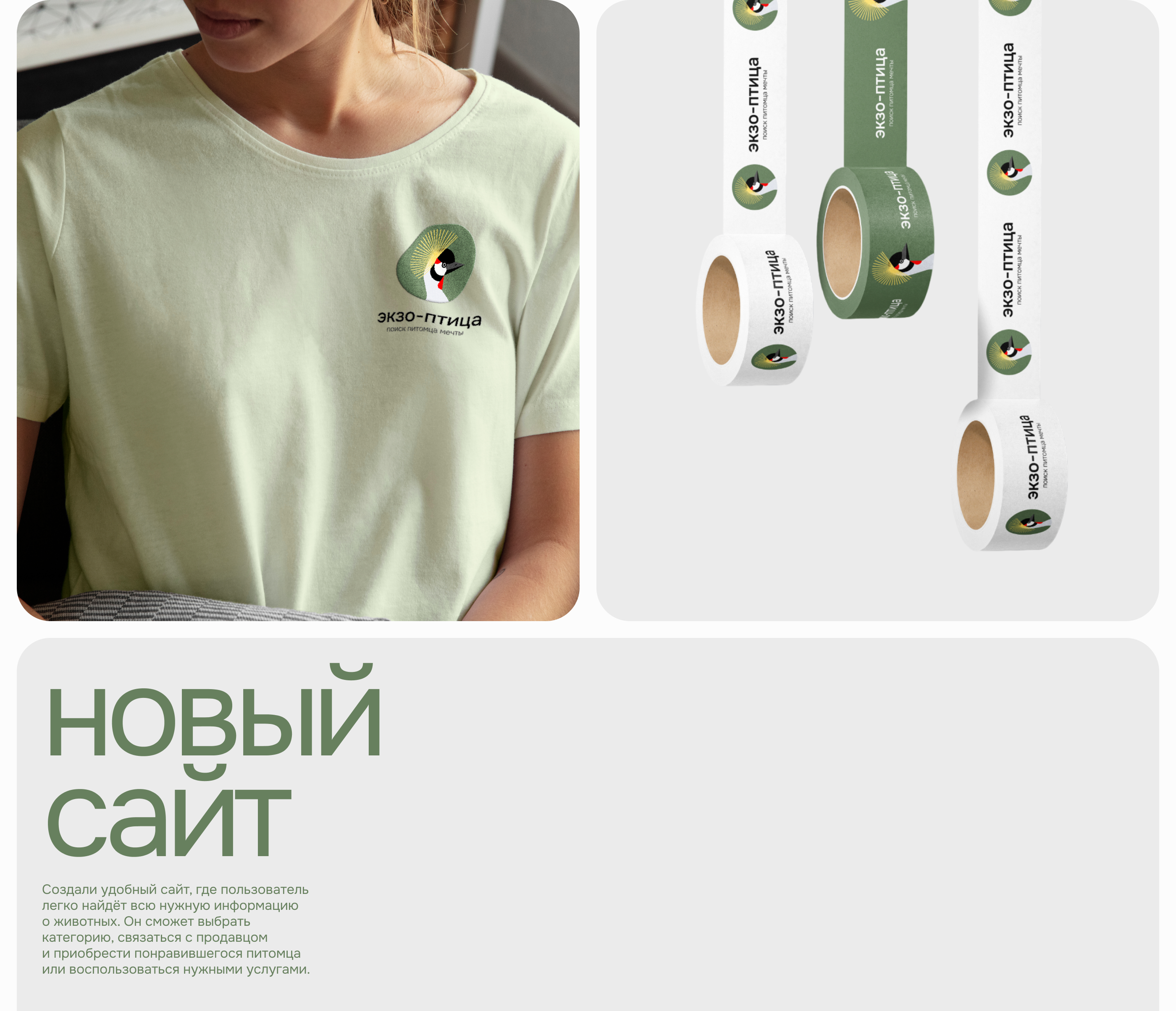 Exzobird | Web & Branding — Изображение №3 — Интерфейсы на Dprofile