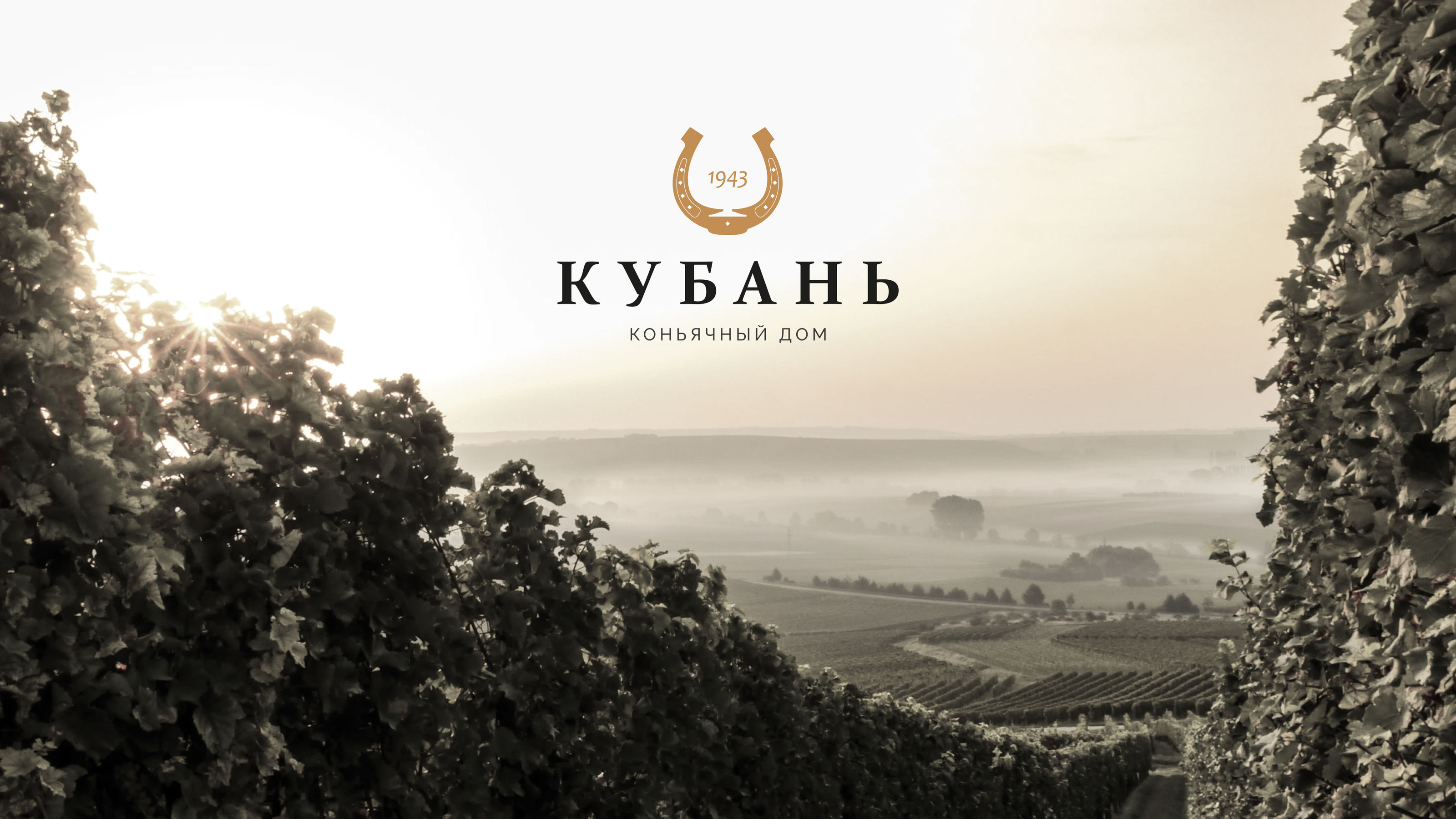 Кубань — Фирменный стиль / Branding / Logo Design — Изображение №1 — Брендинг на Dprofile