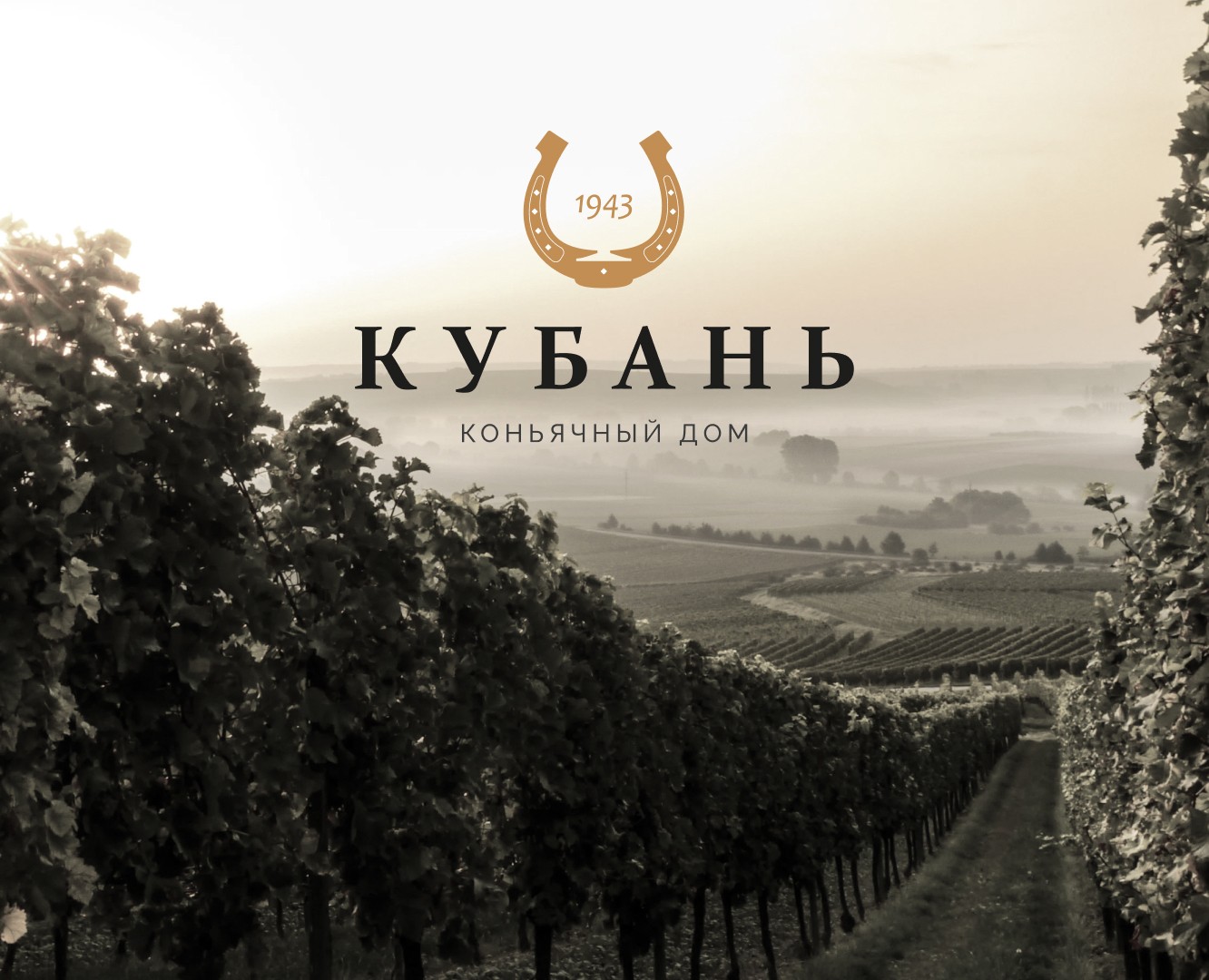 Кубань — Фирменный стиль / Branding / Logo Design — Брендинг на Dprofile