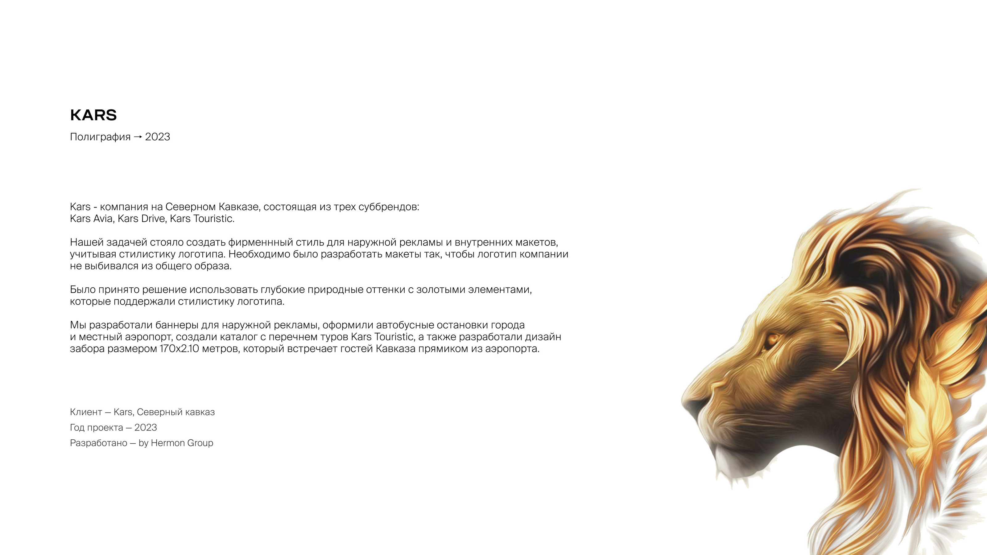 Kars — Фирменный стиль / Branding / Logo Design — Изображение №2 — Брендинг на Dprofile