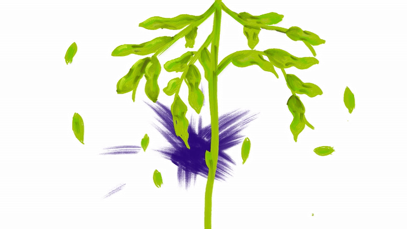 Greenwise Product Motion — Изображение №9 — 3D, Анимация на Dprofile