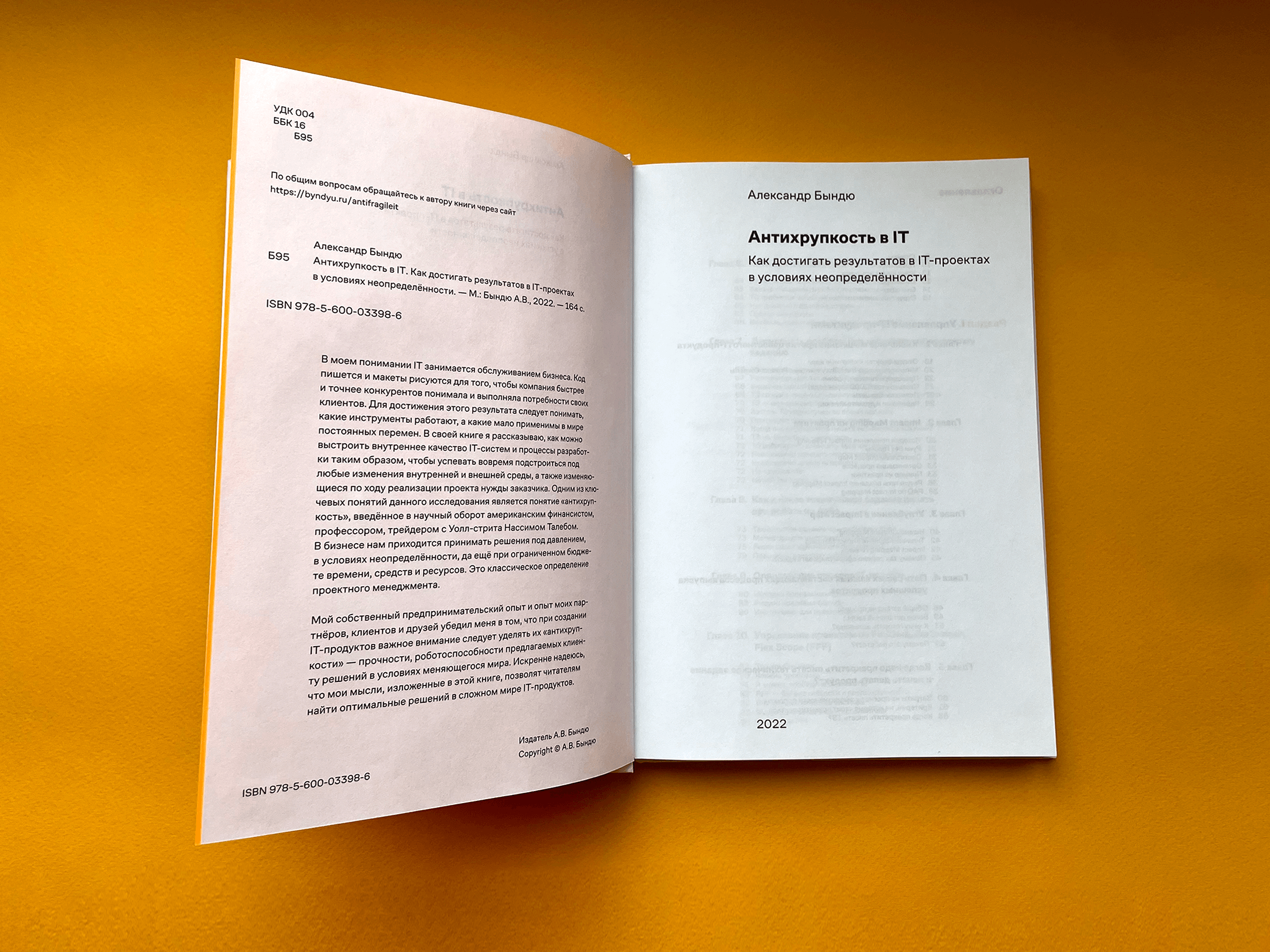 Книга «Антихрупкость в IT». Александр Бындю — Изображение №3 — Графика на Dprofile