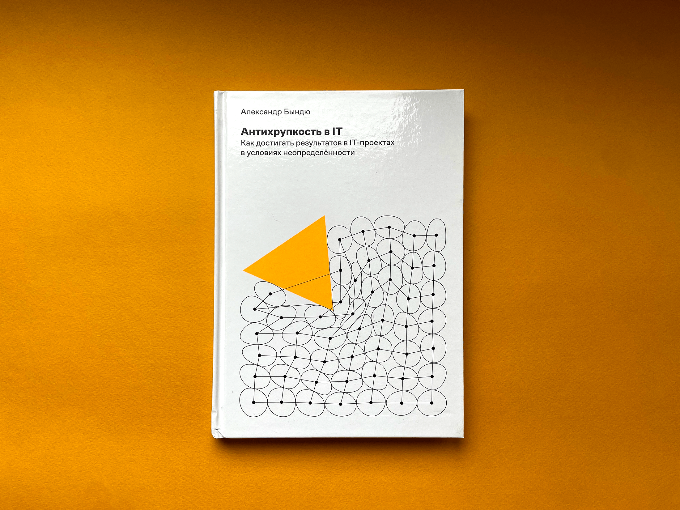 Книга «Антихрупкость в IT». Александр Бындю — Изображение №1 — Графика на Dprofile