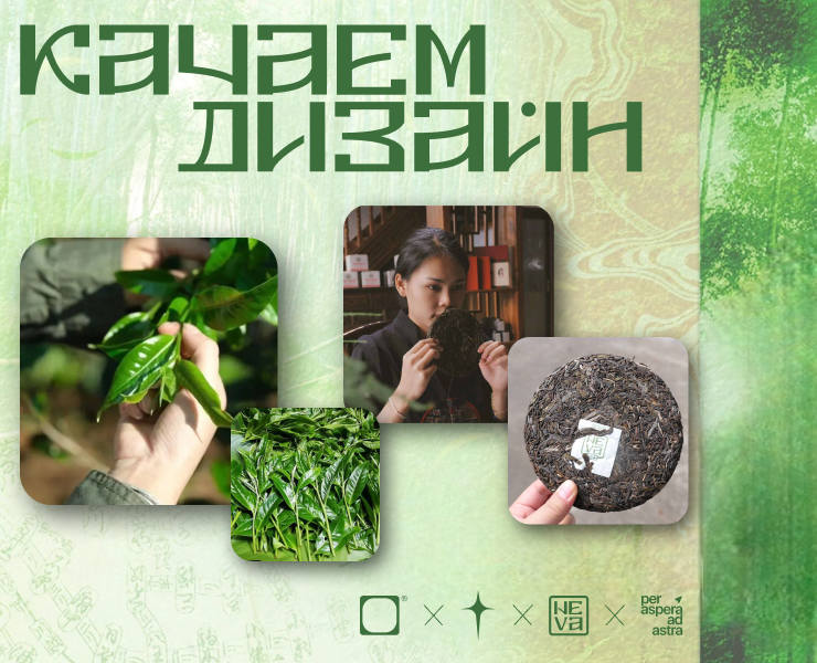 Дизайн упаковки блина для чая ПУЭР — Брендинг, Иллюстрация на Dprofile