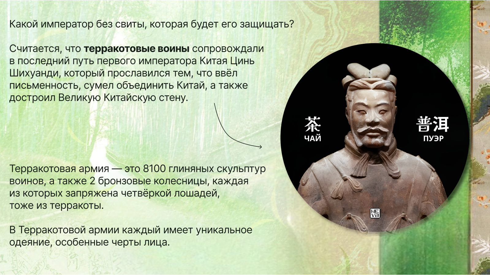 Дизайн упаковки блина для чая ПУЭР — Изображение №3 — Брендинг, Иллюстрация на Dprofile