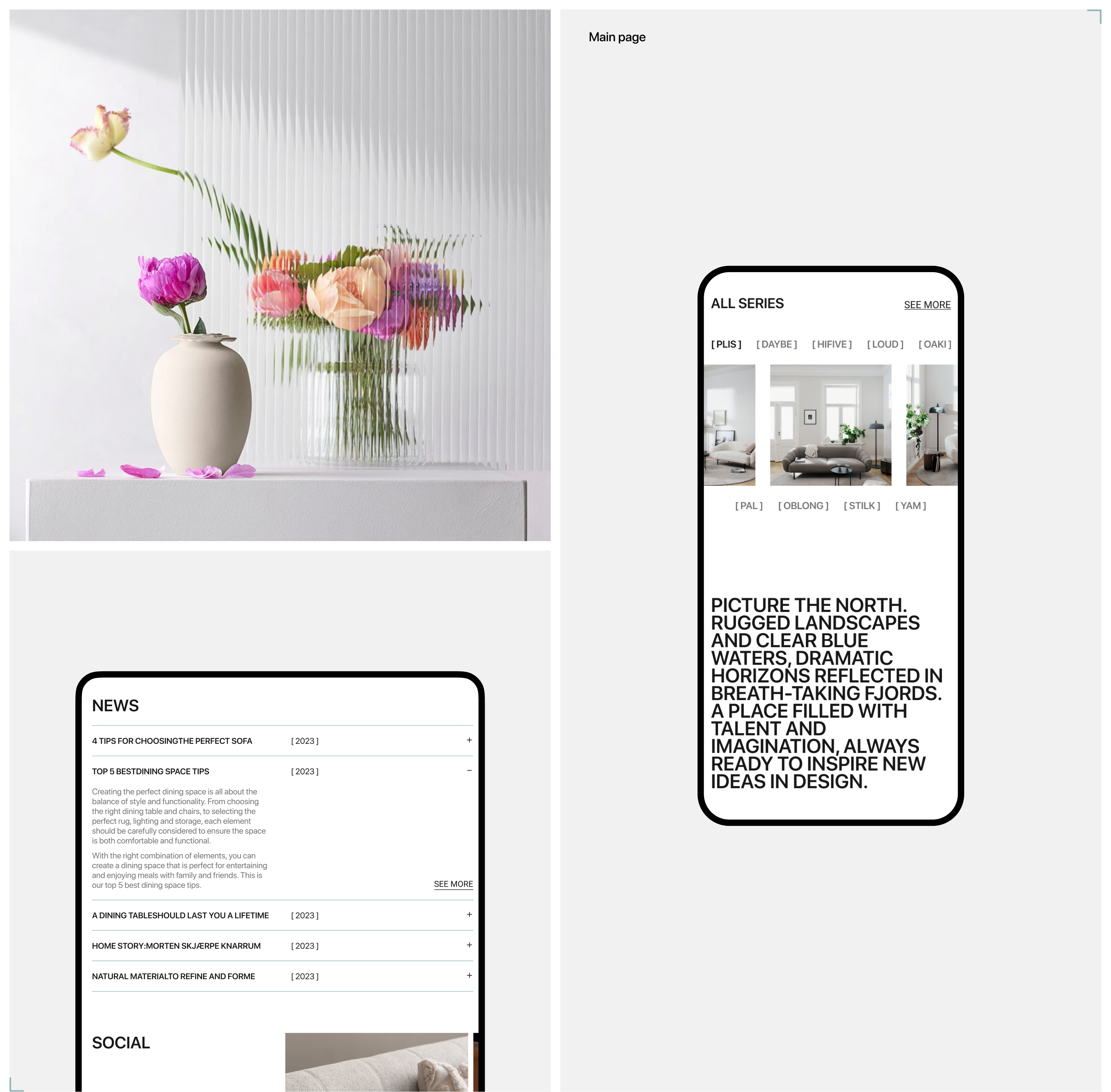 Northern — furniture store — Изображение №4 — Интерфейсы на Dprofile