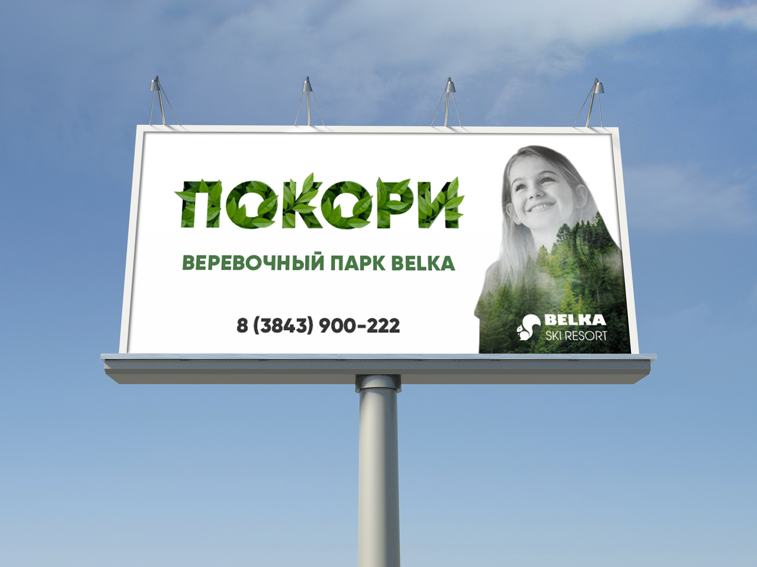 Наружная реклама для курорта — Изображение №2 — Брендинг, Маркетинг на Dprofile