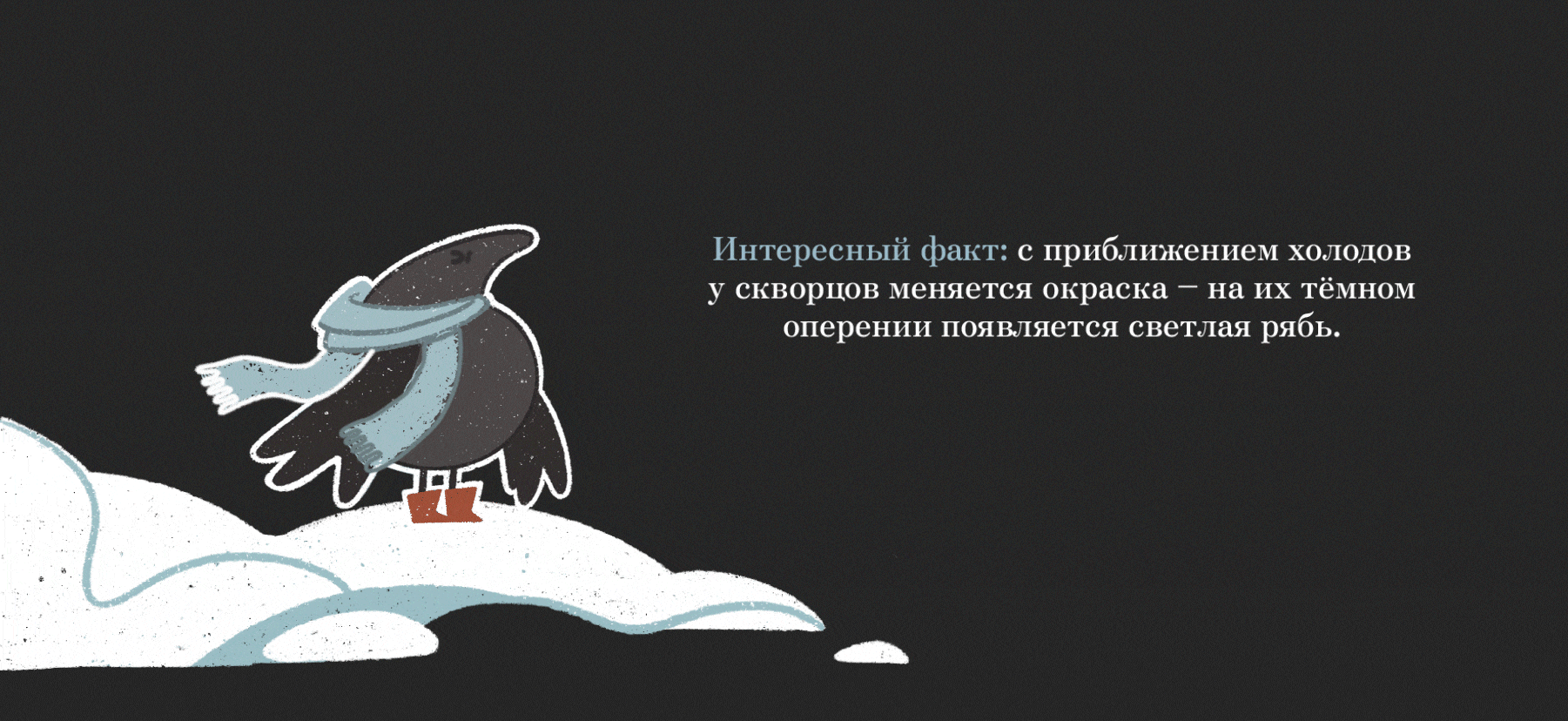 Осенний стикерпак|#inktober2024 — Изображение №14 — Иллюстрация на Dprofile