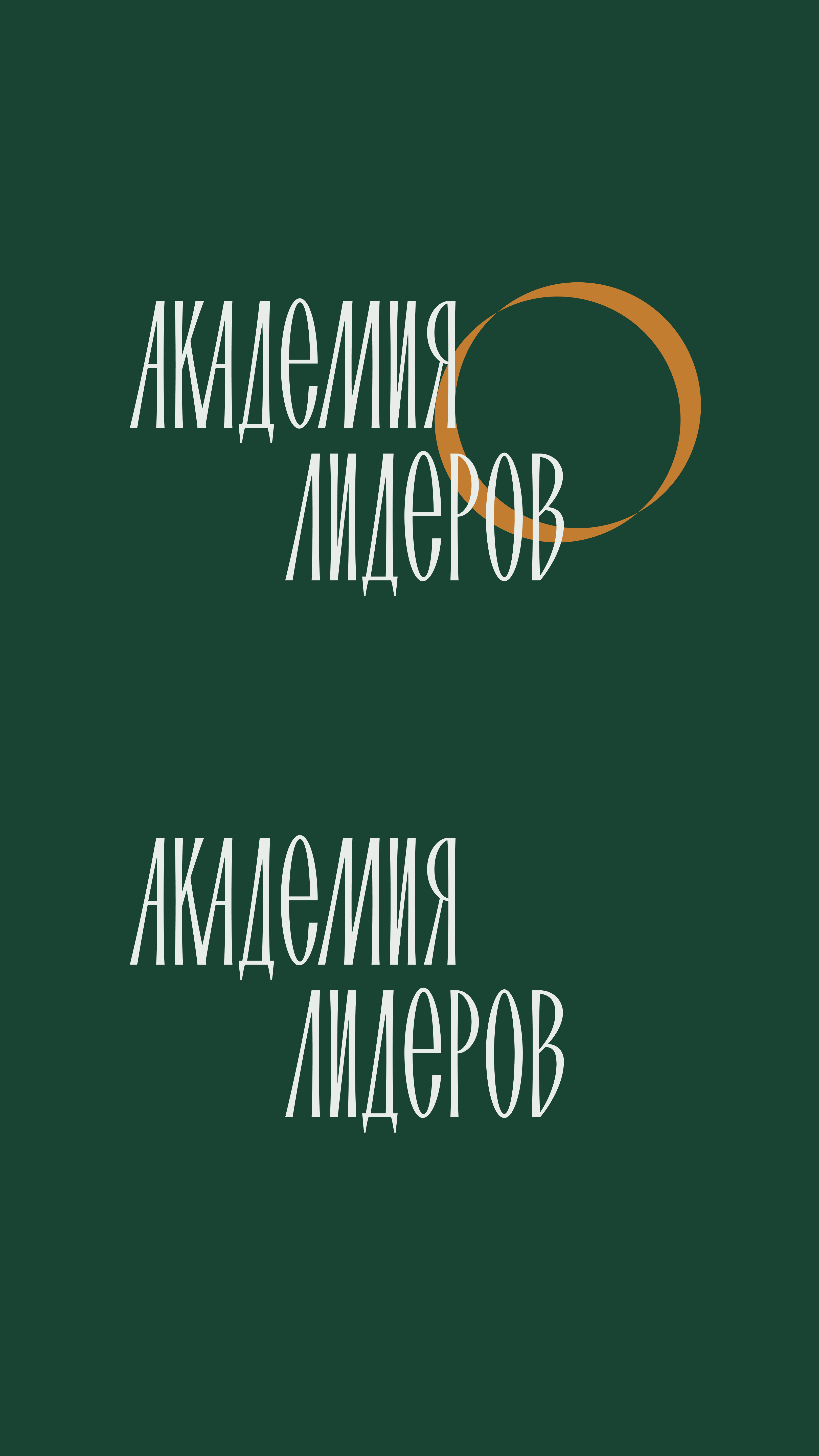 Айдентика для студенческого проекта "Академия лидеров" — Изображение №3 — Брендинг на Dprofile