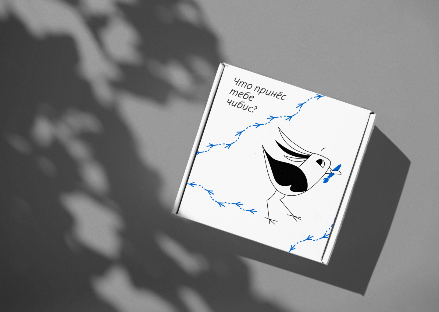 ЧИБИС/CHIBIS — Изображение №6 — Брендинг, Иллюстрация на Dprofile