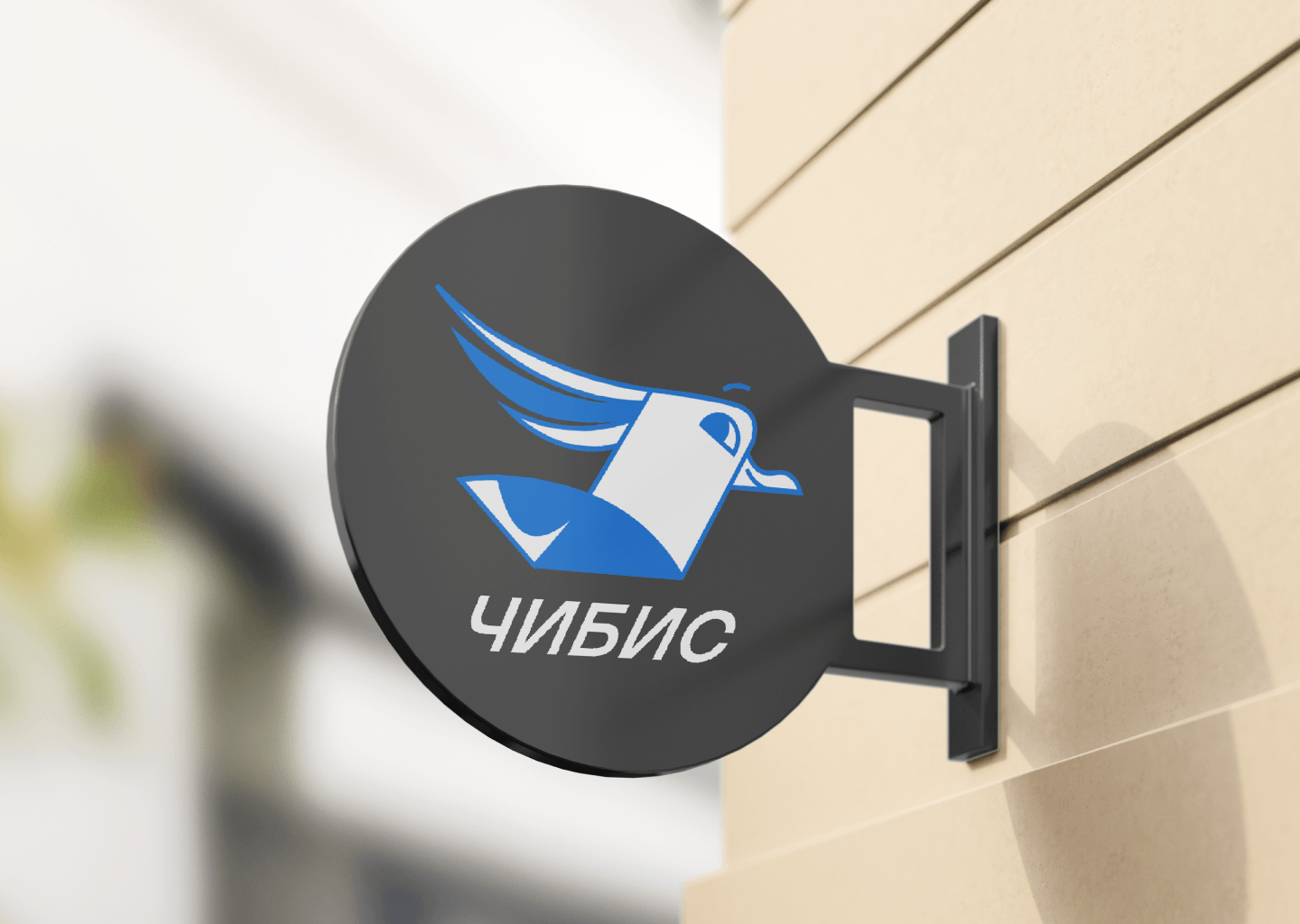 ЧИБИС/CHIBIS — Изображение №10 — Брендинг, Иллюстрация на Dprofile