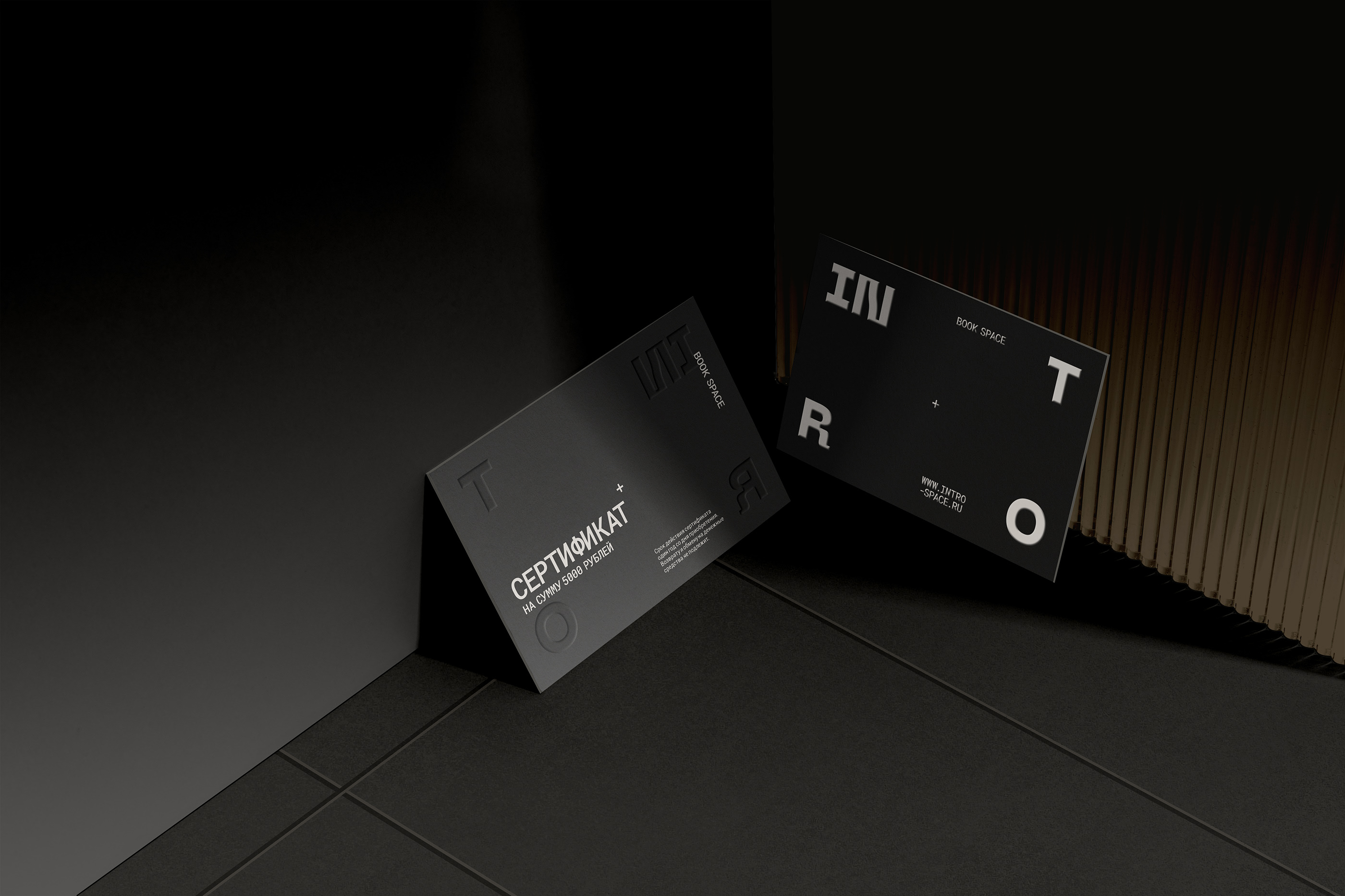 INTRO BOOK SPACE — Изображение №3 — Брендинг, Анимация на Dprofile