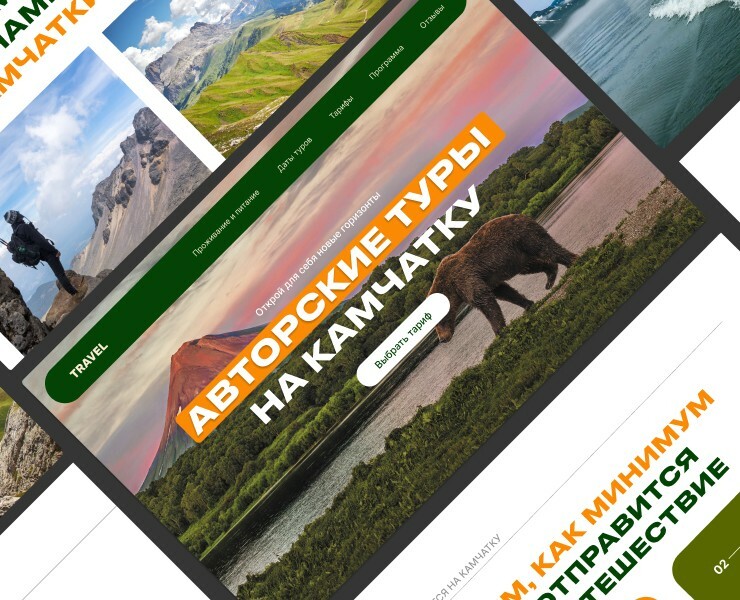 Авторский тур на Камчатку — Интерфейсы на Dprofile