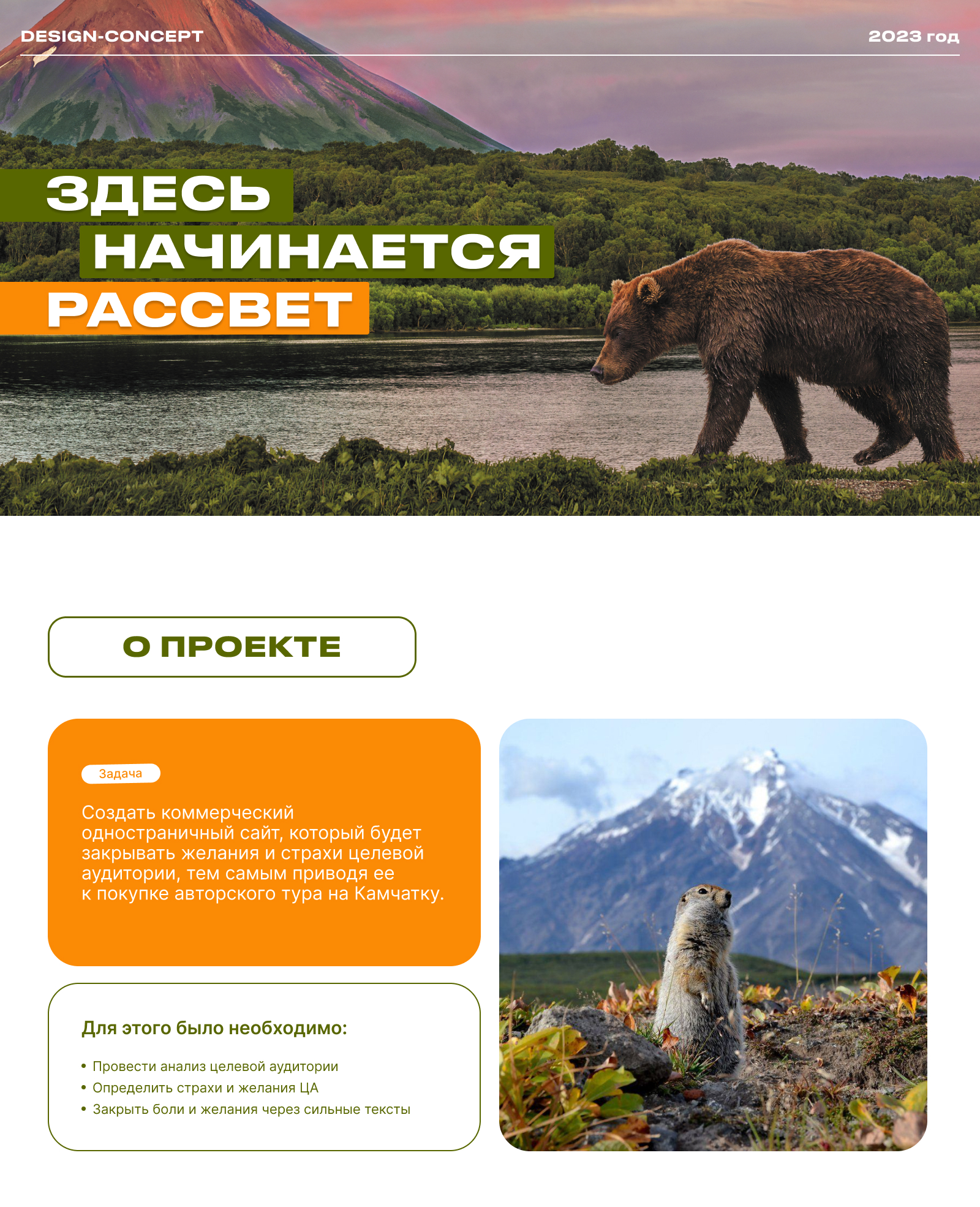 Авторский тур на Камчатку — Изображение №1 — Интерфейсы на Dprofile