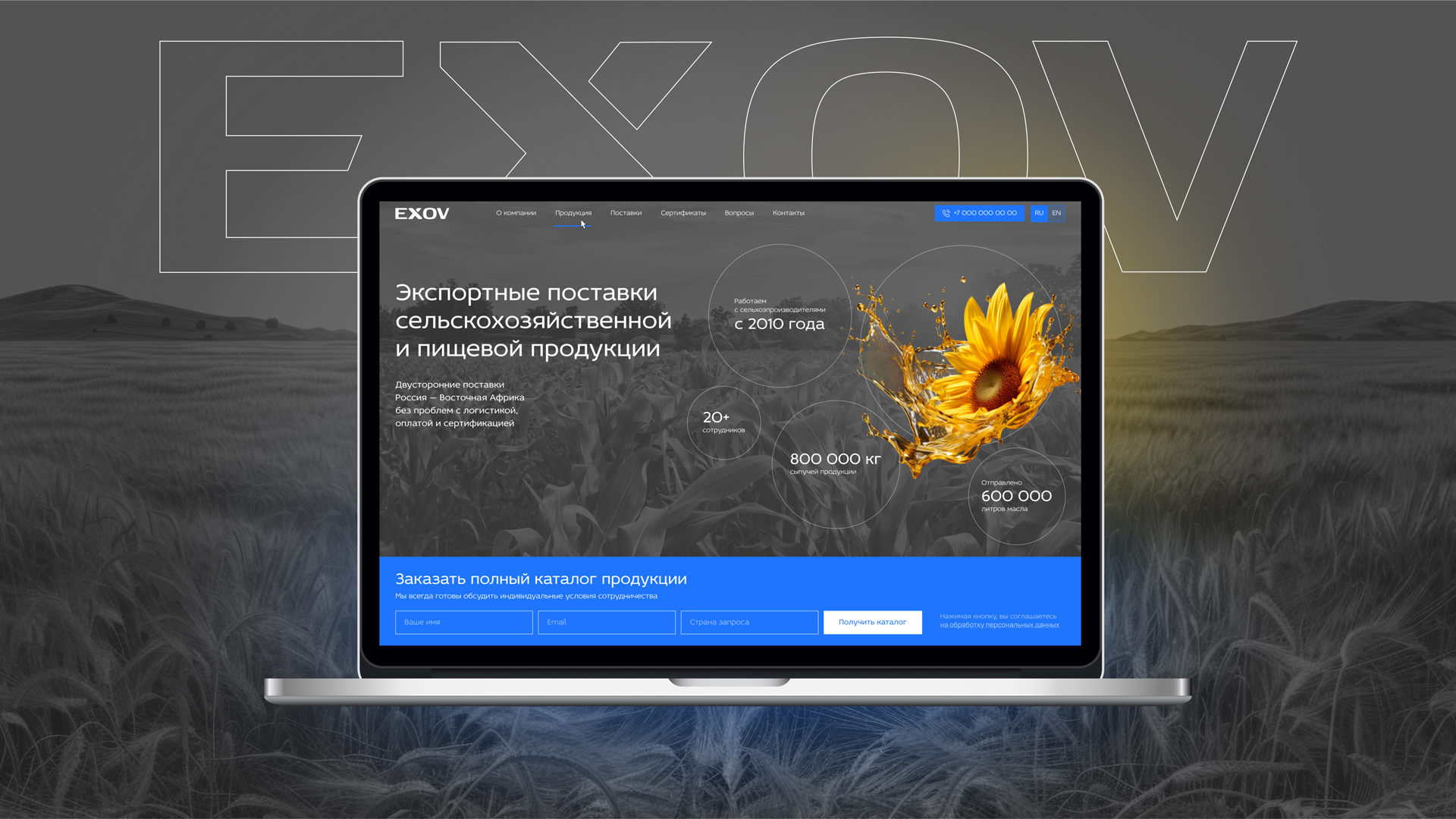 Фирменный стиль и дизайн сайта для экспортных поставок — Изображение №1 — Интерфейсы, Брендинг на Dprofile