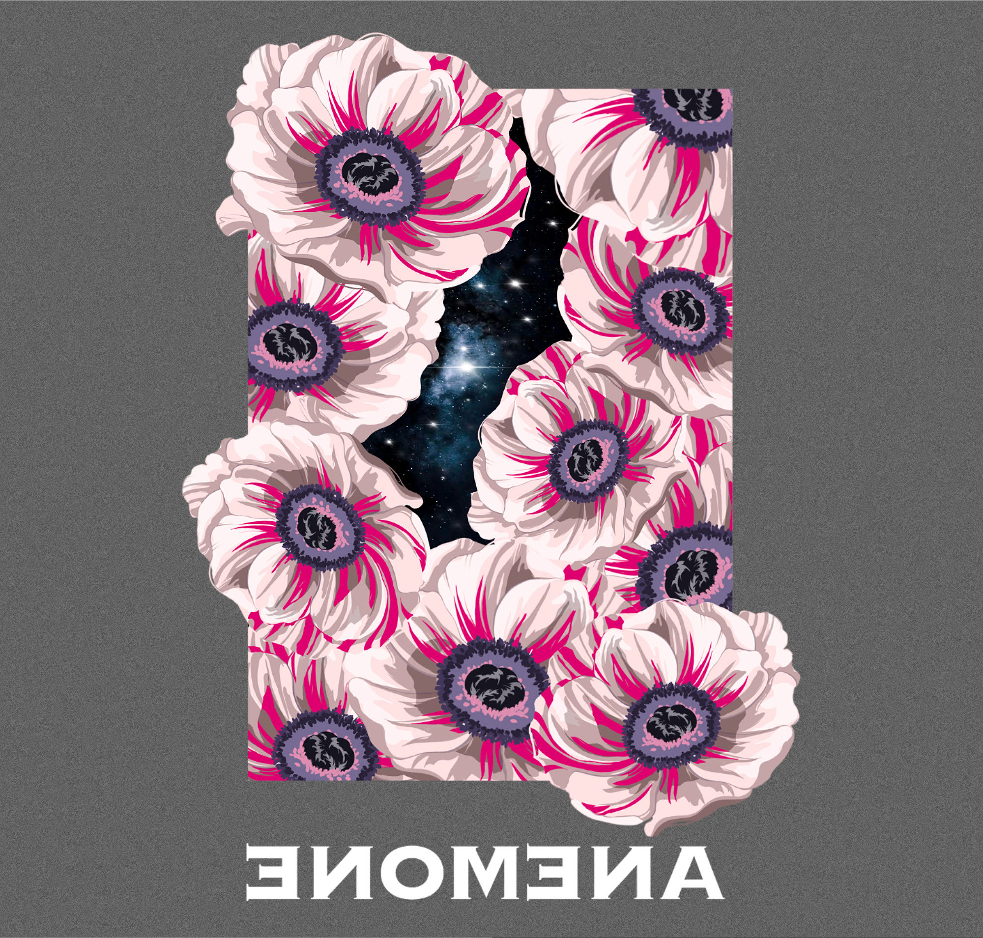 Мерч ANEMONE — Изображение №3 — Брендинг, Иллюстрация на Dprofile