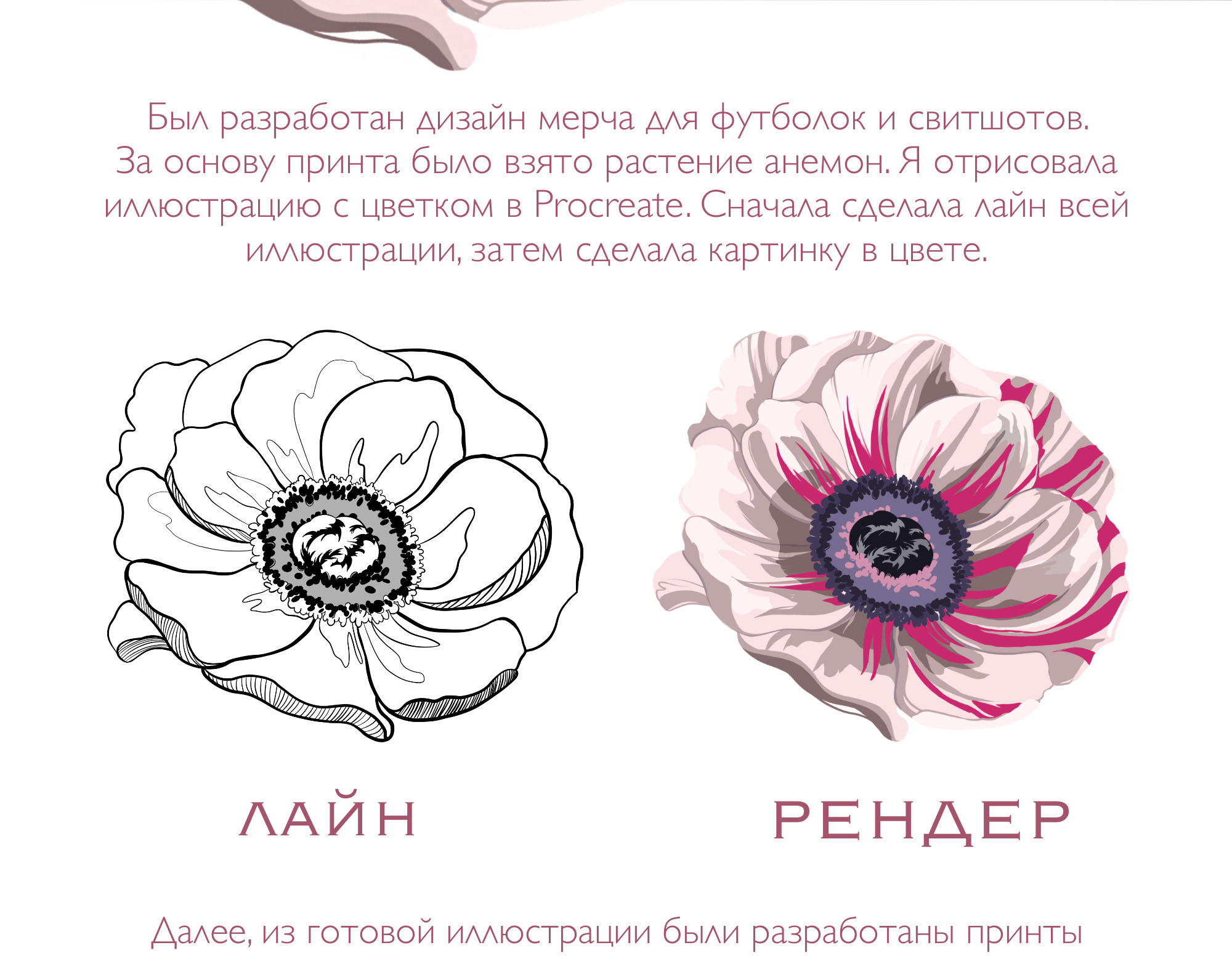 Мерч ANEMONE — Изображение №2 — Брендинг, Иллюстрация на Dprofile