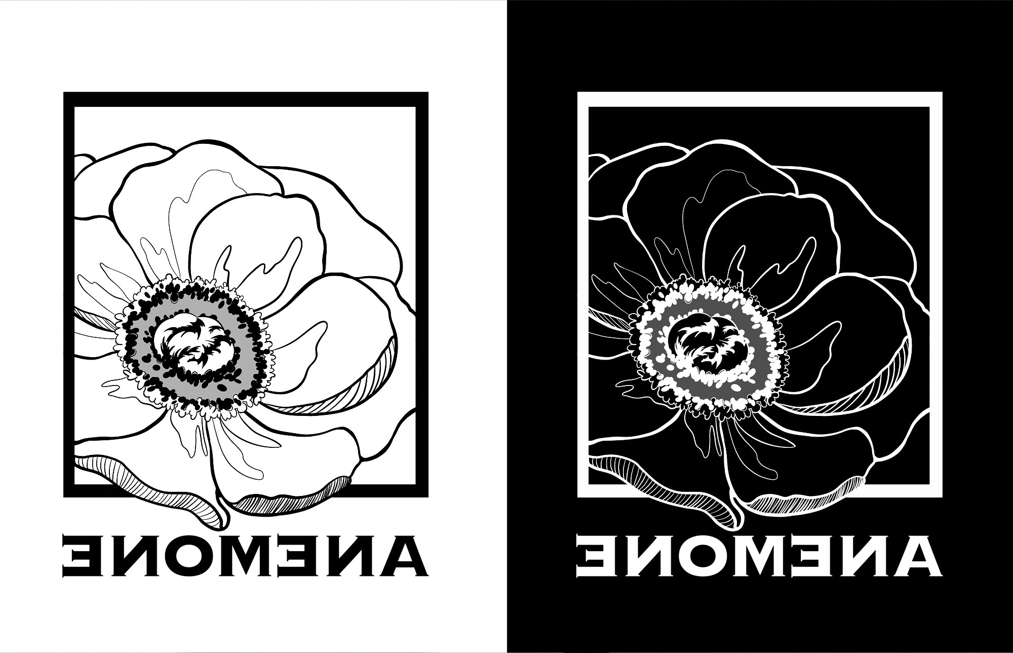Мерч ANEMONE — Изображение №4 — Брендинг, Иллюстрация на Dprofile