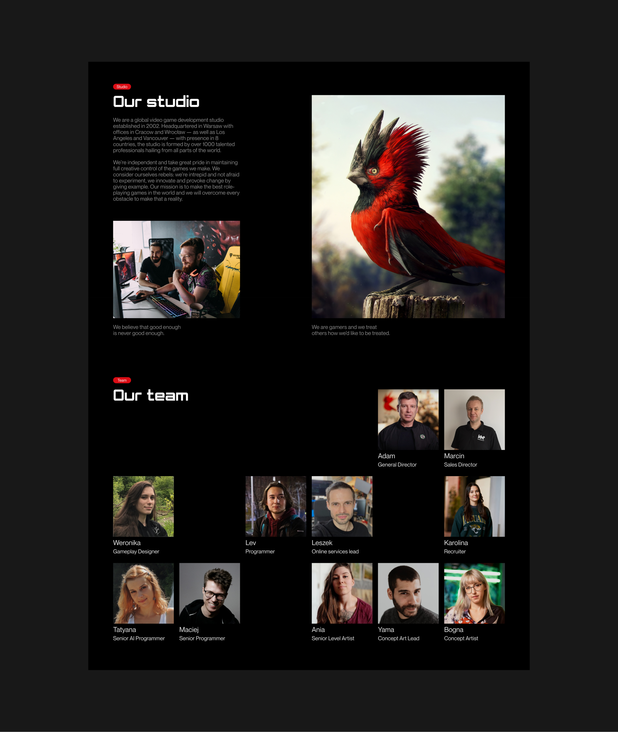 CDPR | Лендинг | Редизайн — Изображение №4 — Интерфейсы на Dprofile