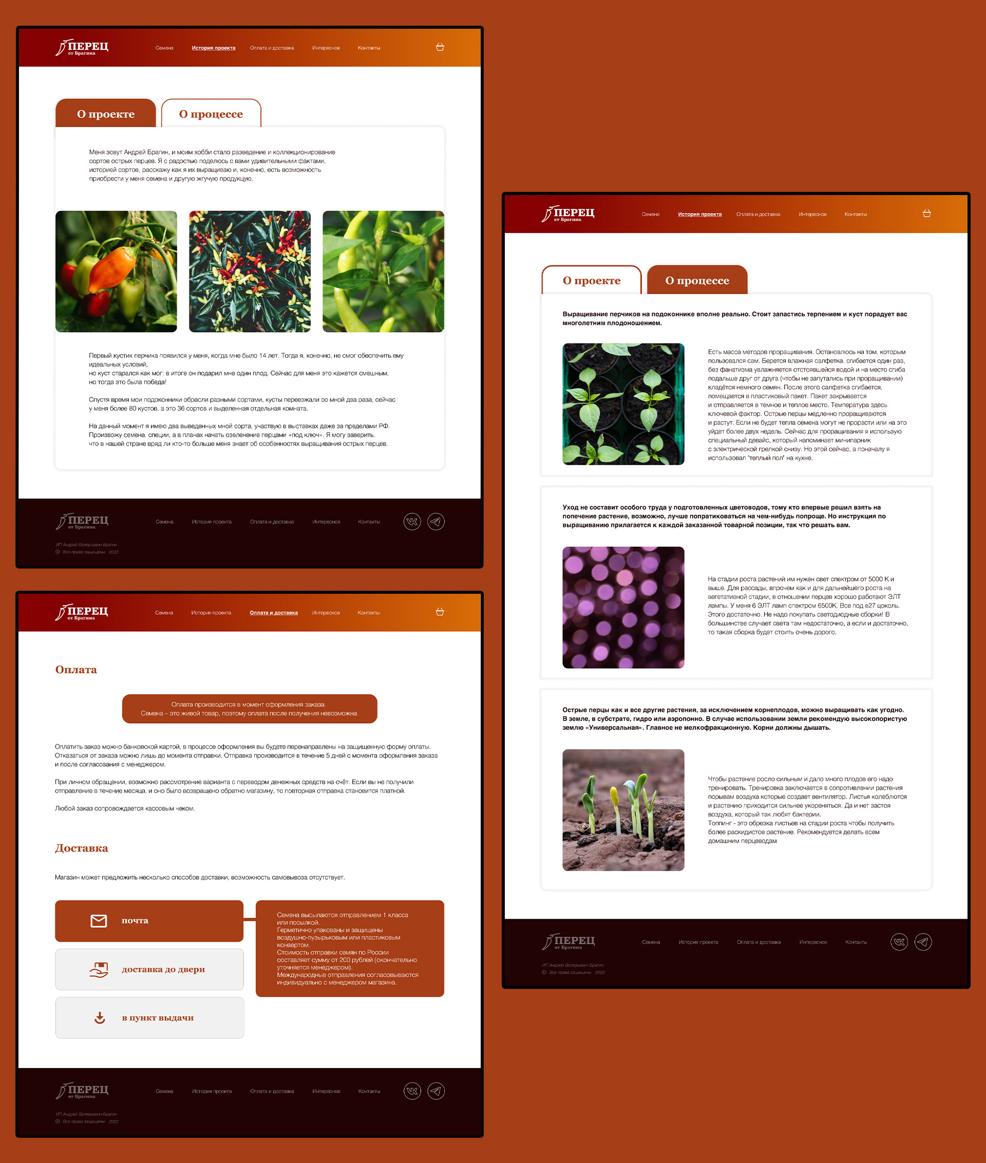 Интернет-магазин «Перец от Брагина» — Изображение №5 — Брендинг, Интерфейсы на Dprofile