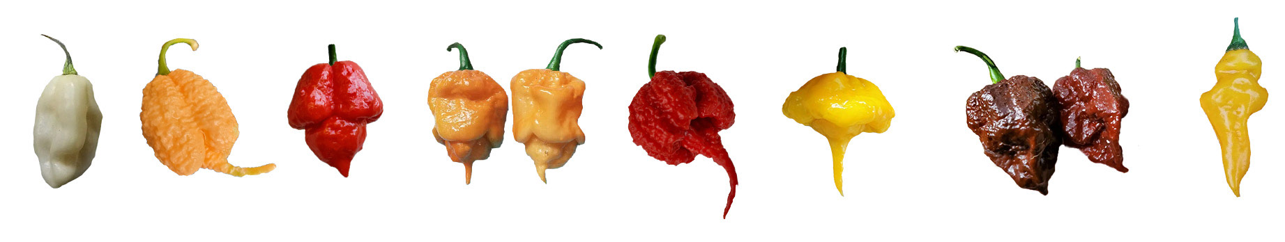 Интернет-магазин «Перец от Брагина» — Изображение №6 — Брендинг, Интерфейсы на Dprofile