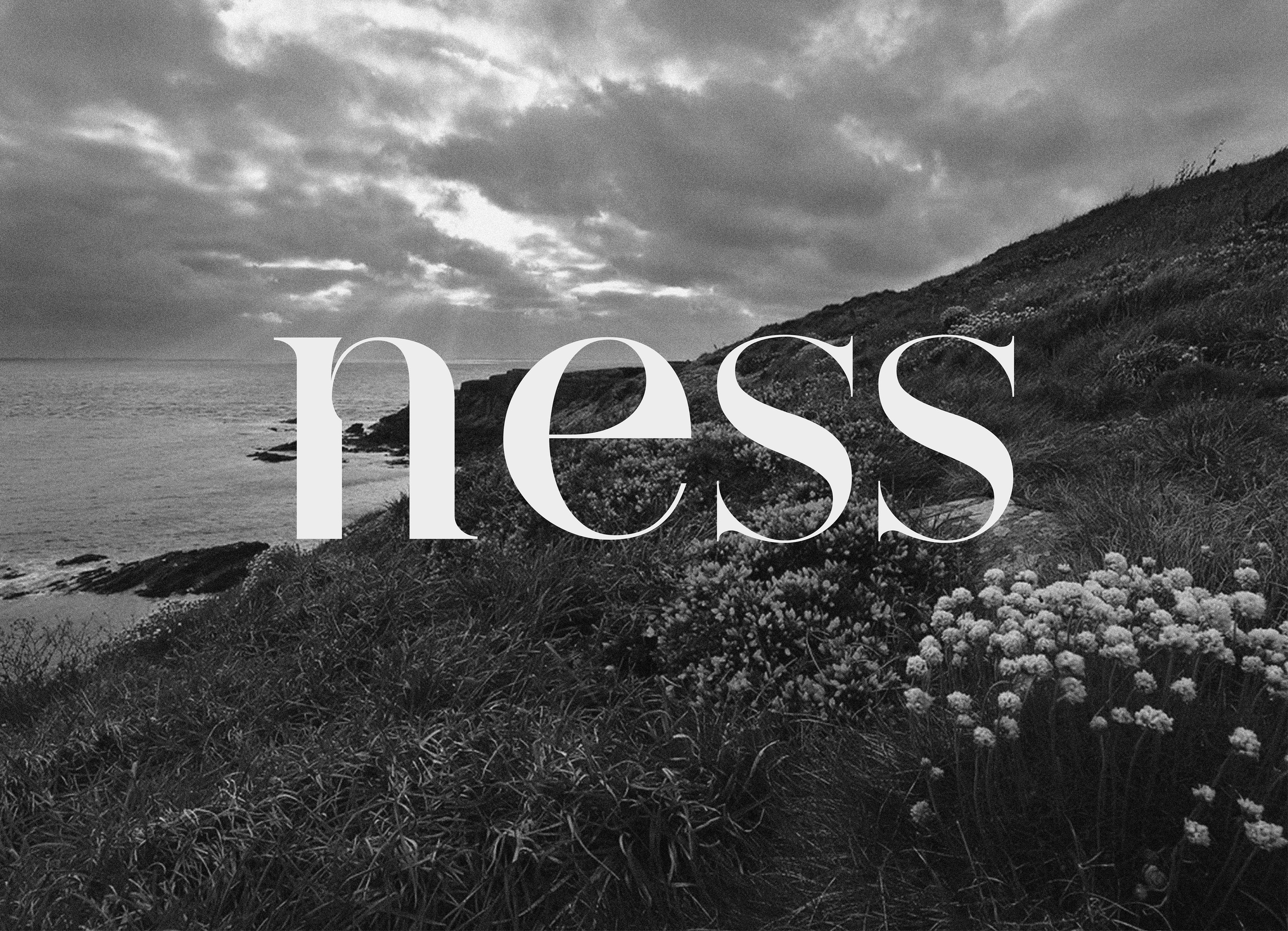 Упаковка и брендинг для интерьерных духов — Изображение №1 — Брендинг на Dprofile