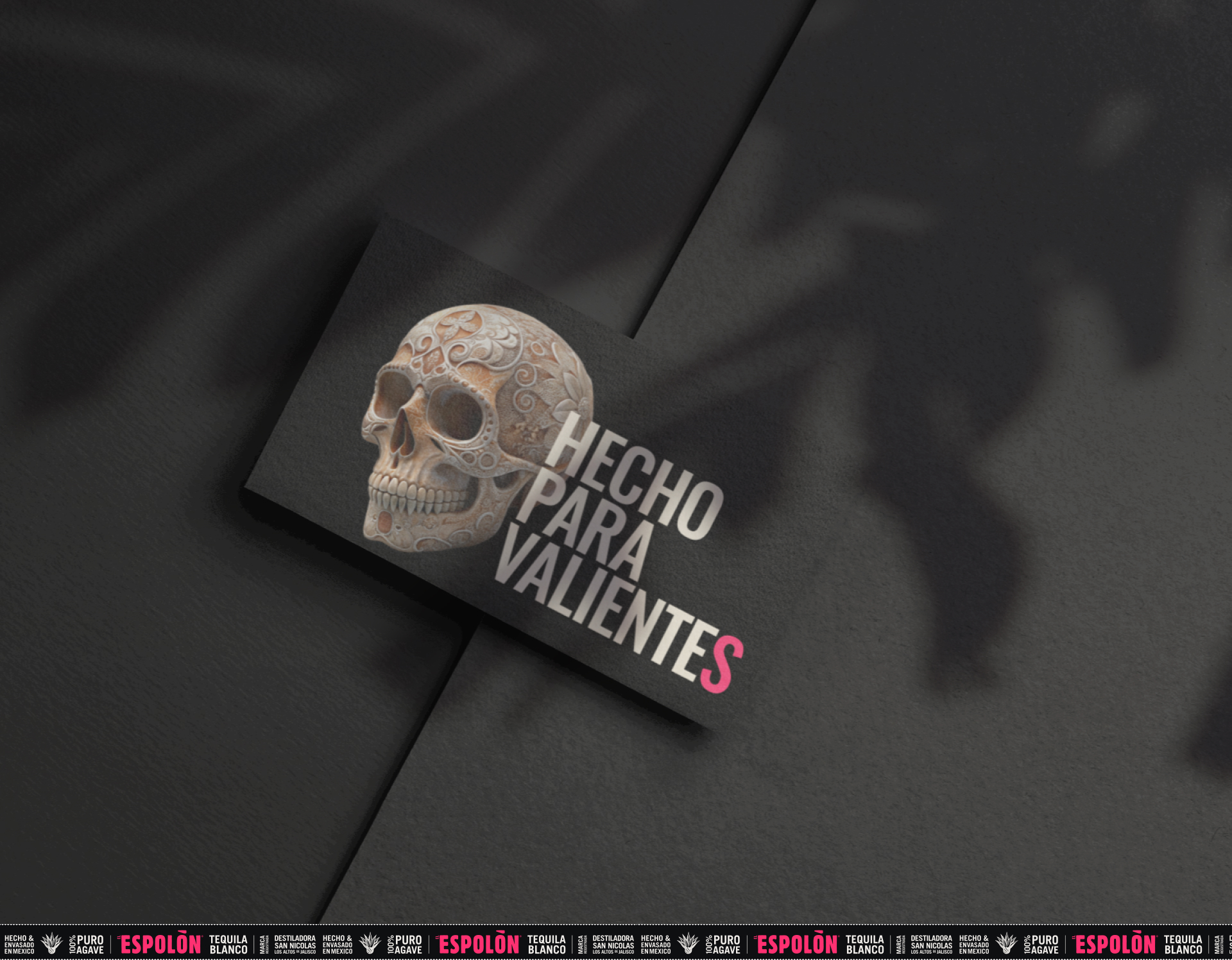 Website for the ESPOLON TEQUILA company — Изображение №4 — Интерфейсы на Dprofile