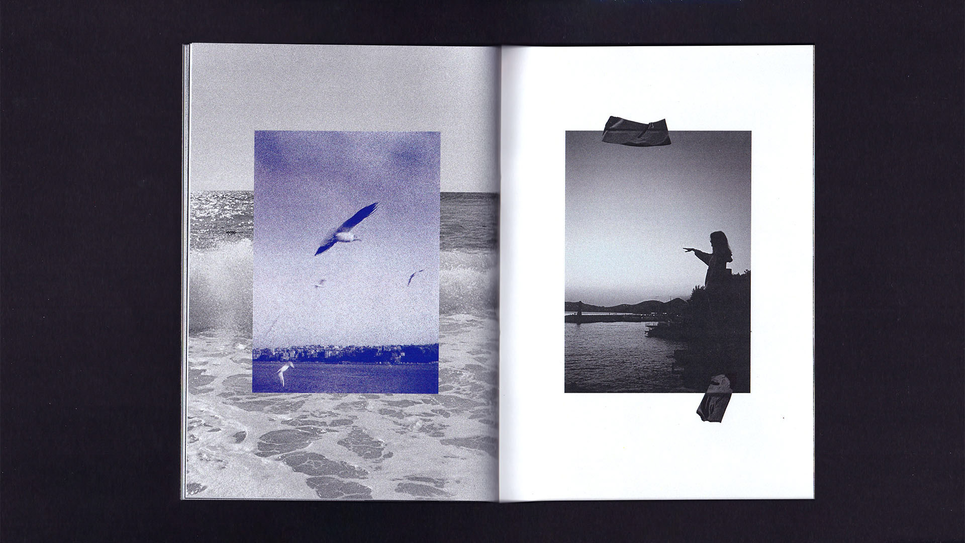 Beachscapes zine — Изображение №13 — Графика на Dprofile