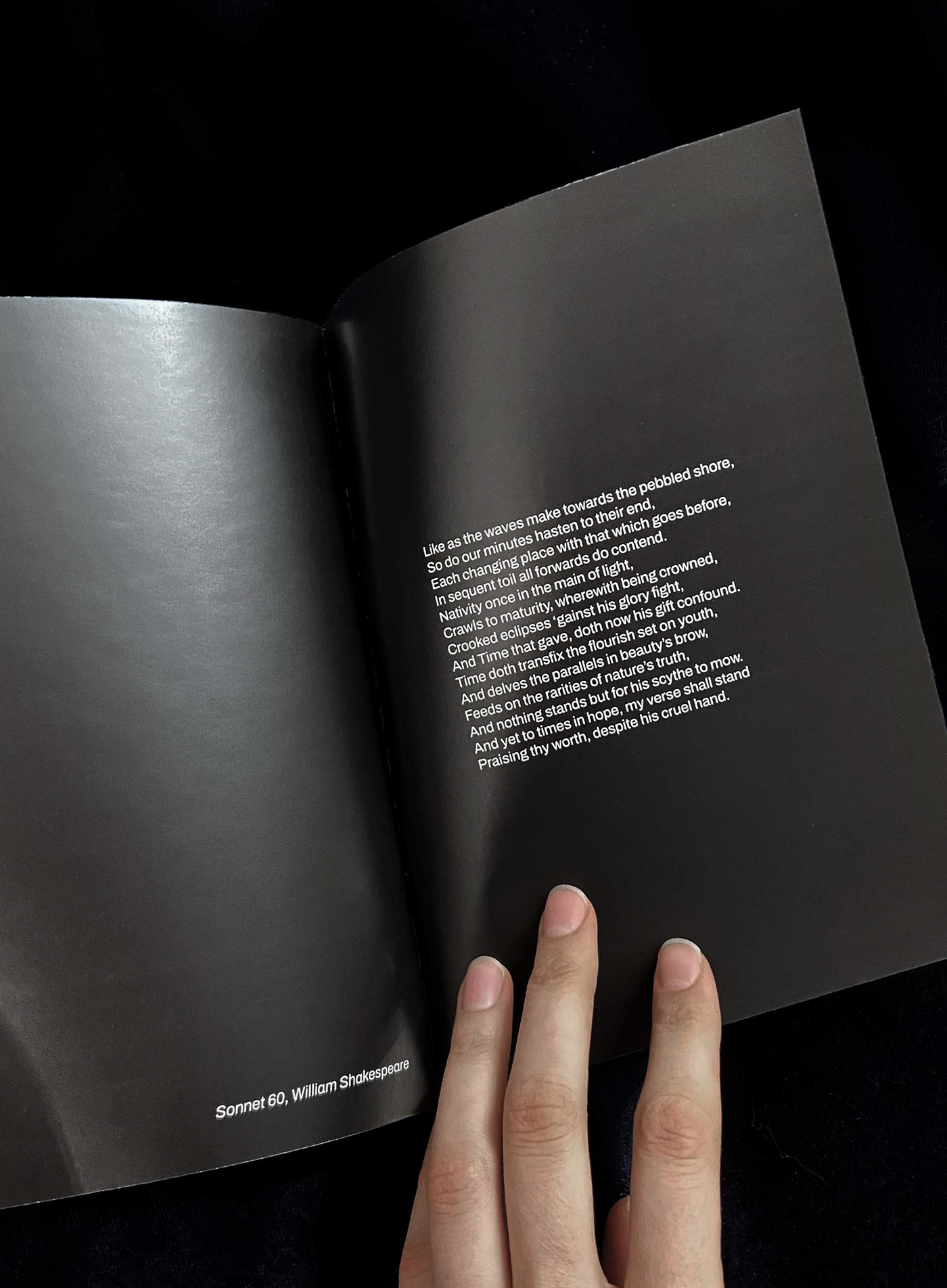 Beachscapes zine — Изображение №25 — Графика на Dprofile