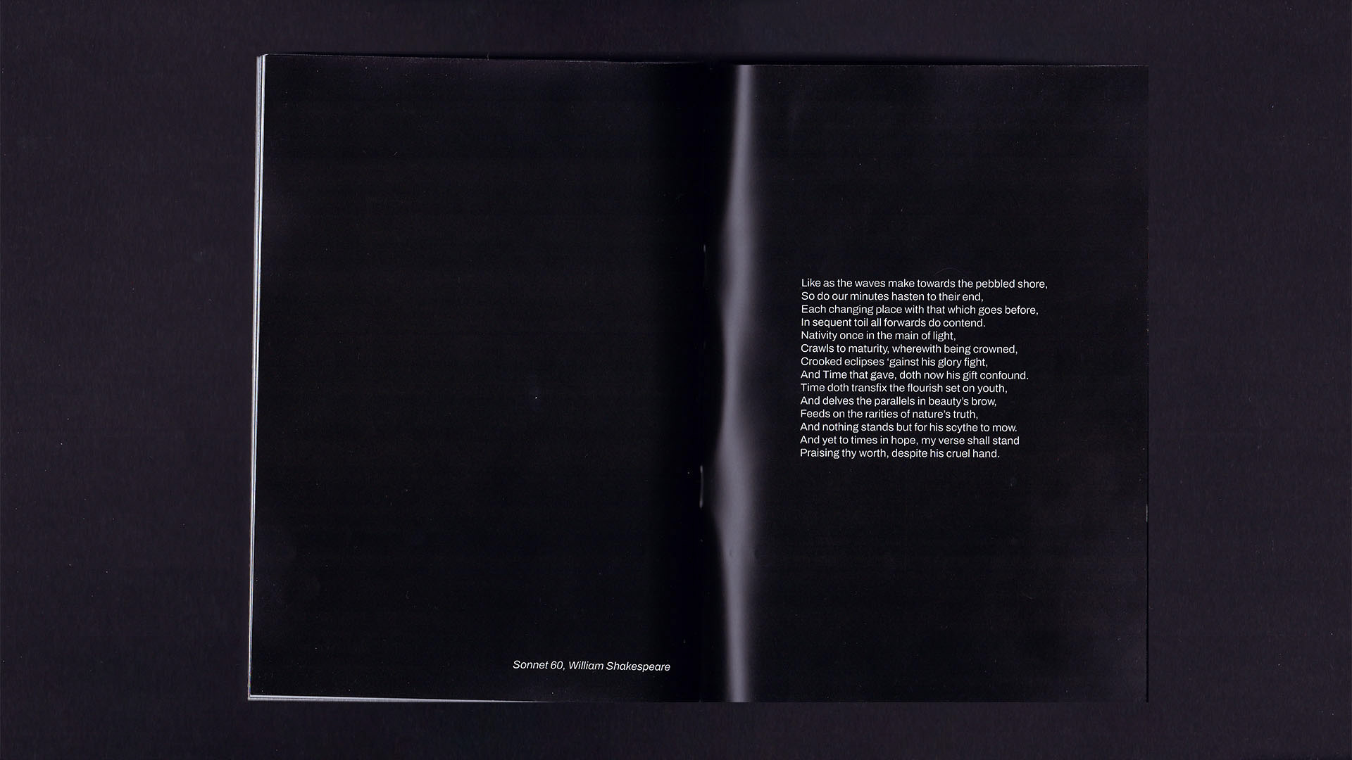 Beachscapes zine — Изображение №16 — Графика на Dprofile